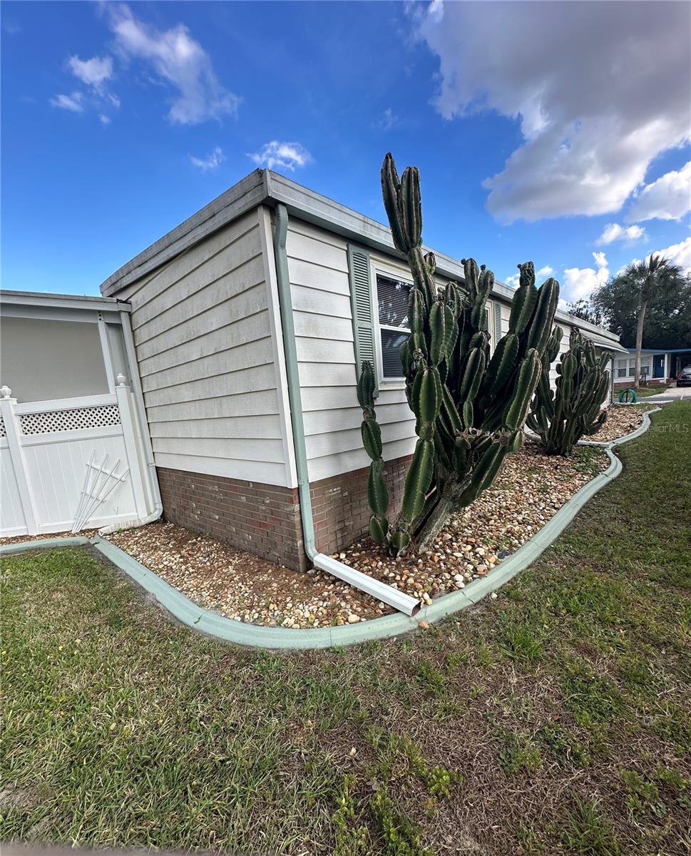 Image 32 of 38 For 907 Orchid Street