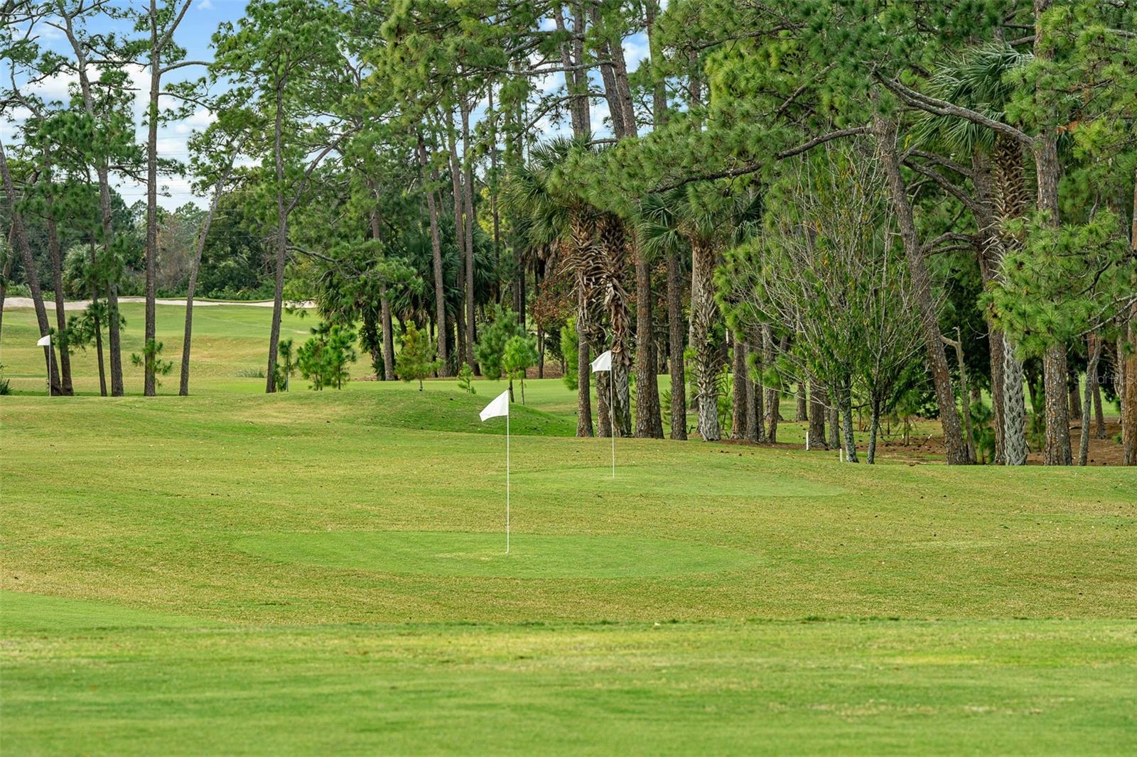 Image 55 of 56 For 641 Woodbridge Drive