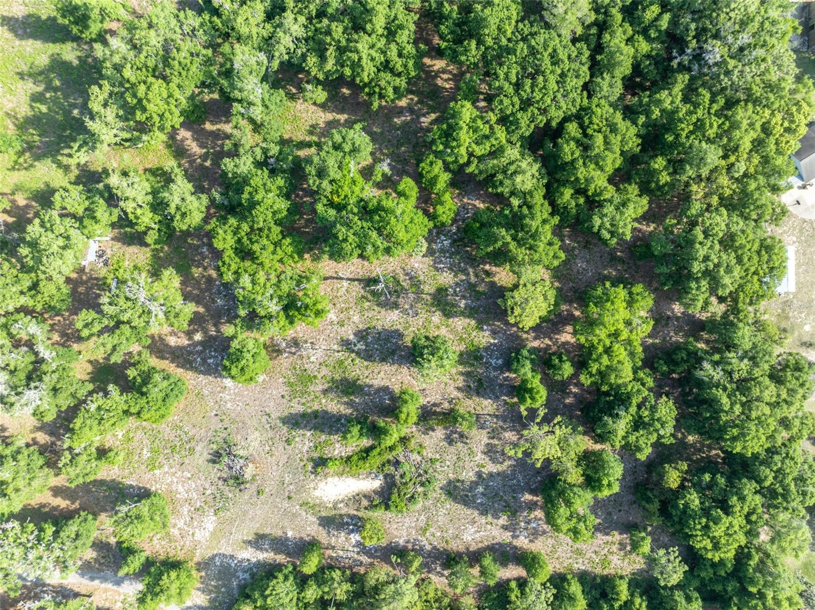 Image 15 of 21 For Shady Oak Lane