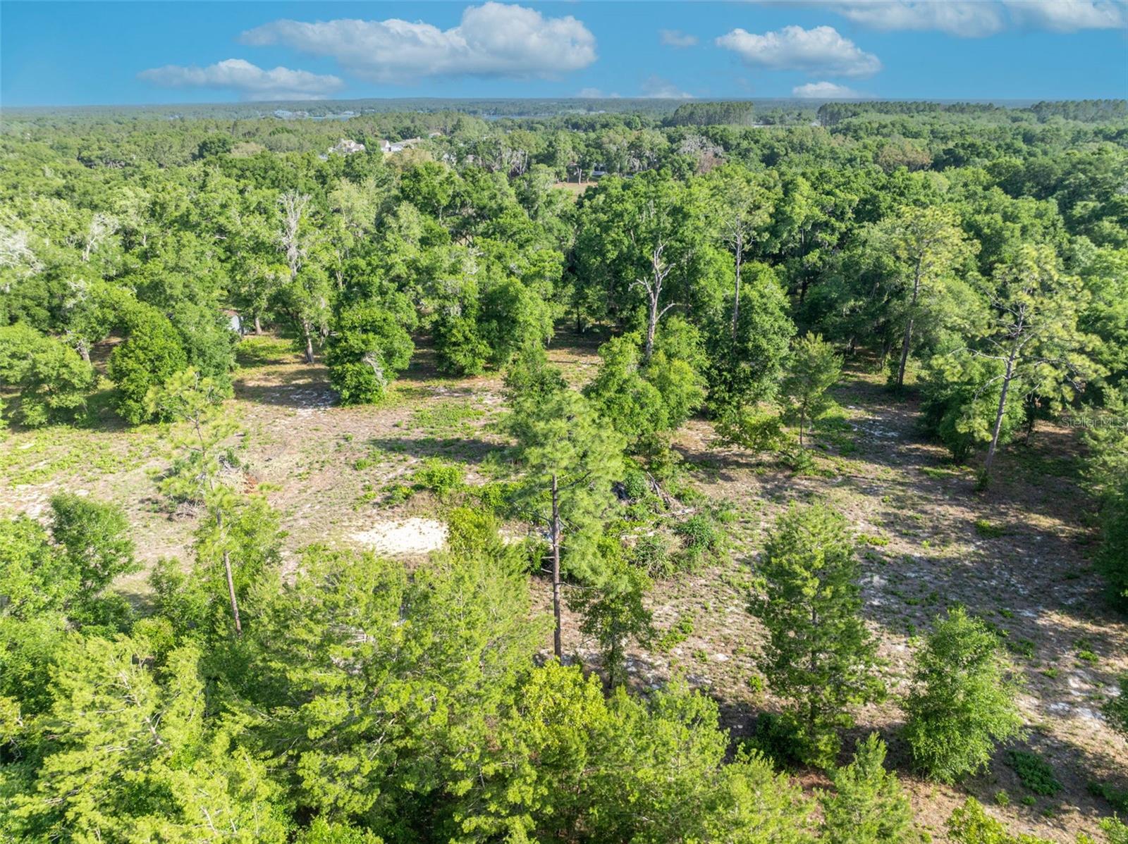 Image 19 of 21 For Shady Oak Lane