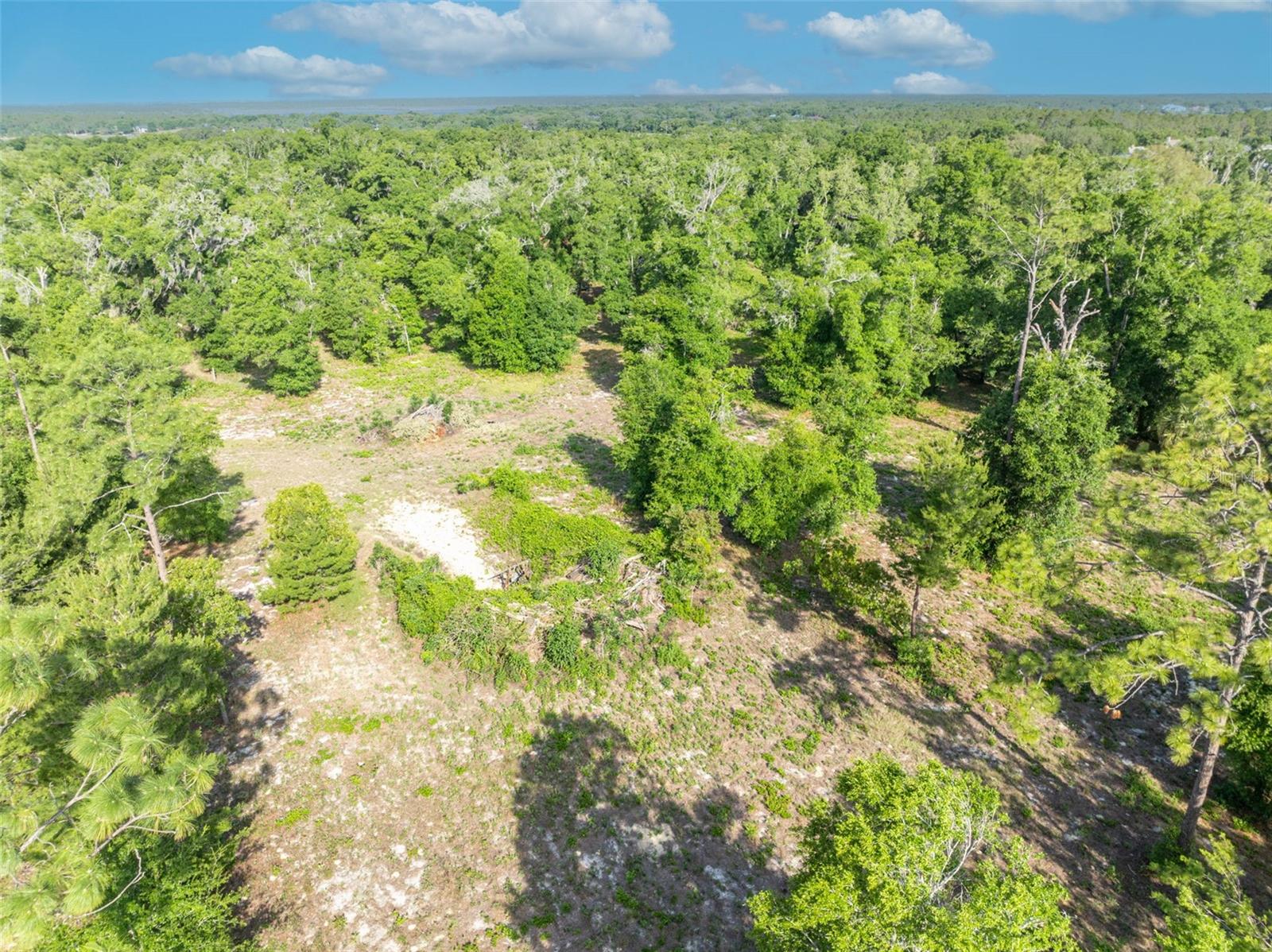 Image 20 of 21 For Shady Oak Lane