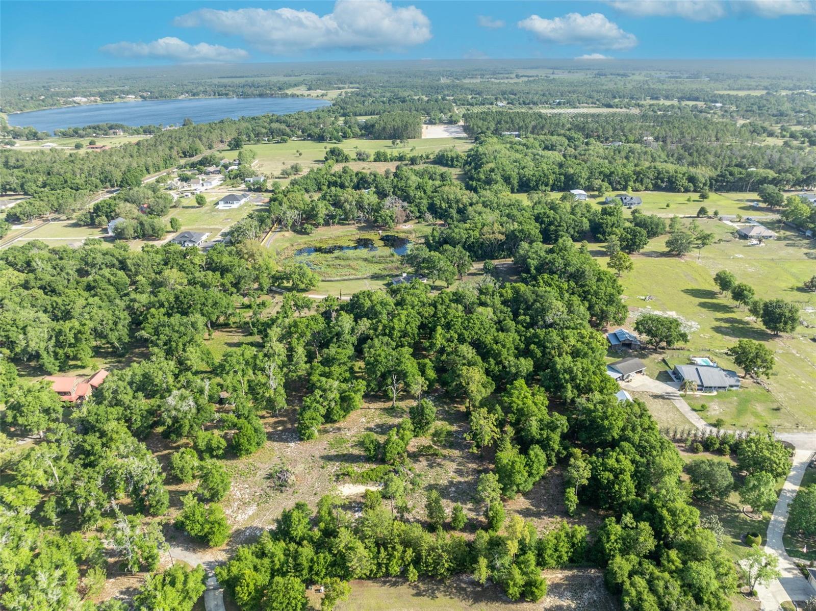 Image 3 of 21 For Shady Oak Lane