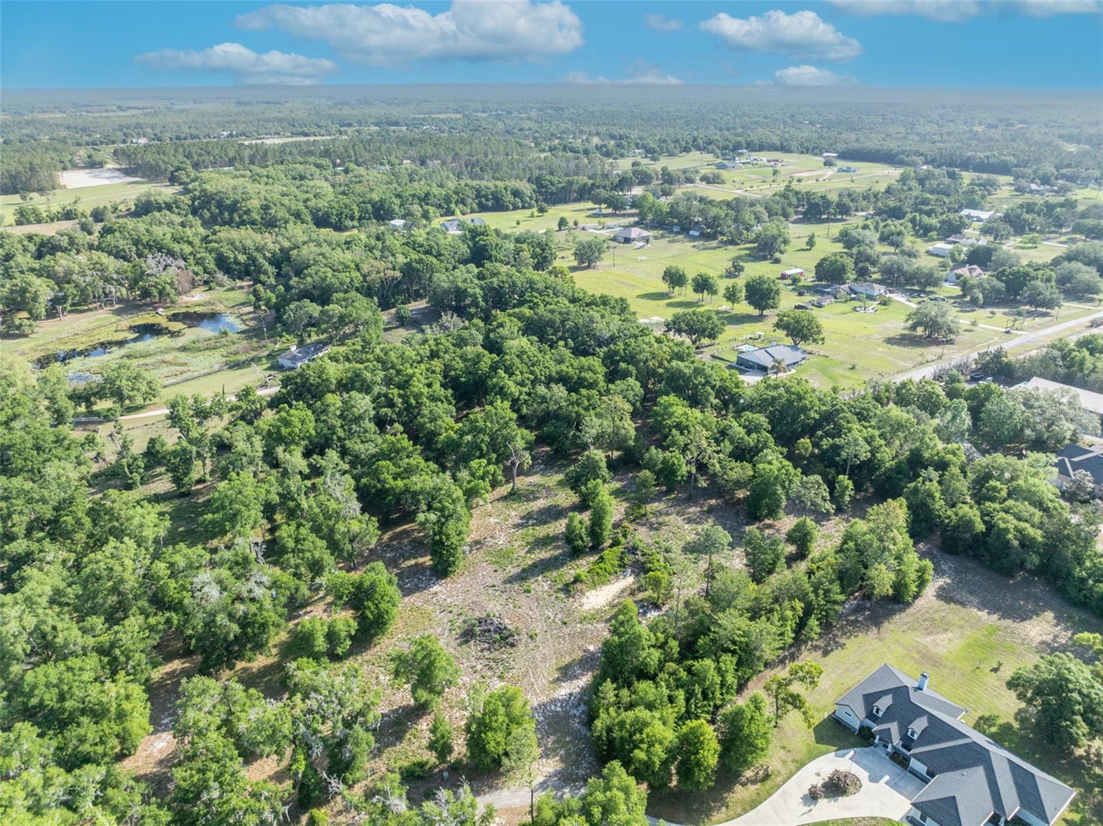 Image 7 of 21 For Shady Oak Lane