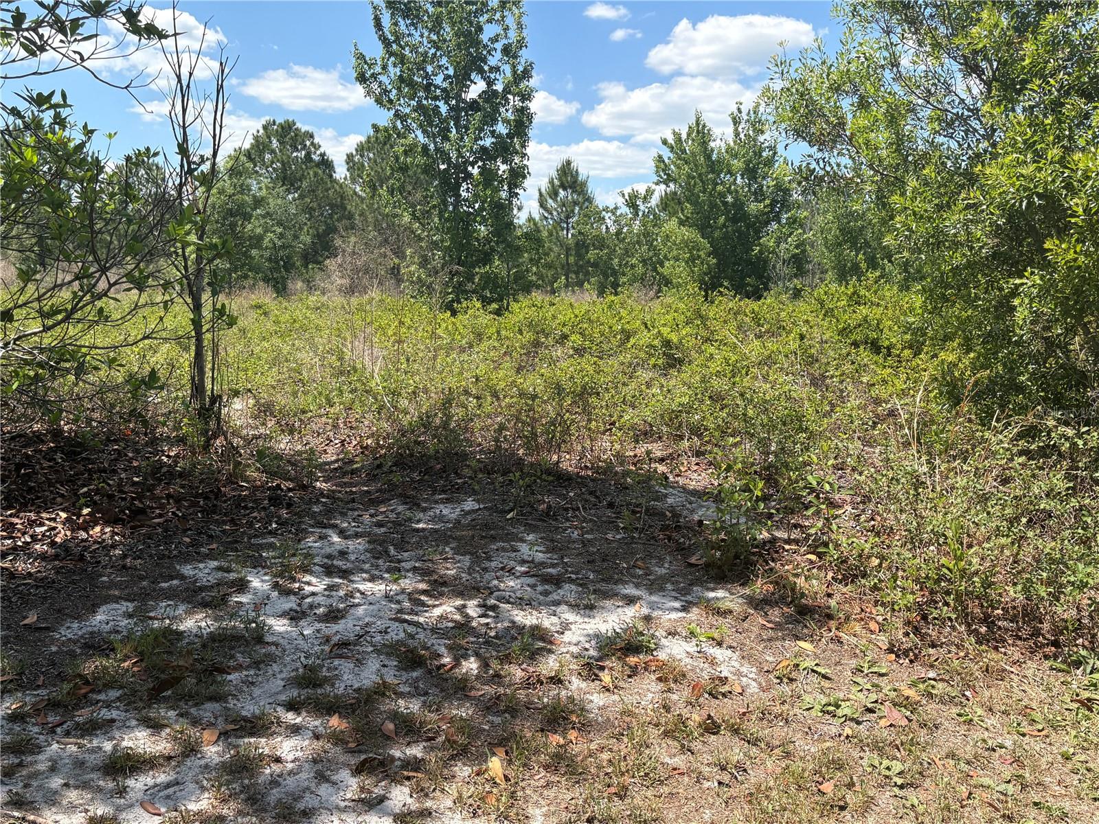 Image 4 of 6 For San Juan Ave  Lot 29