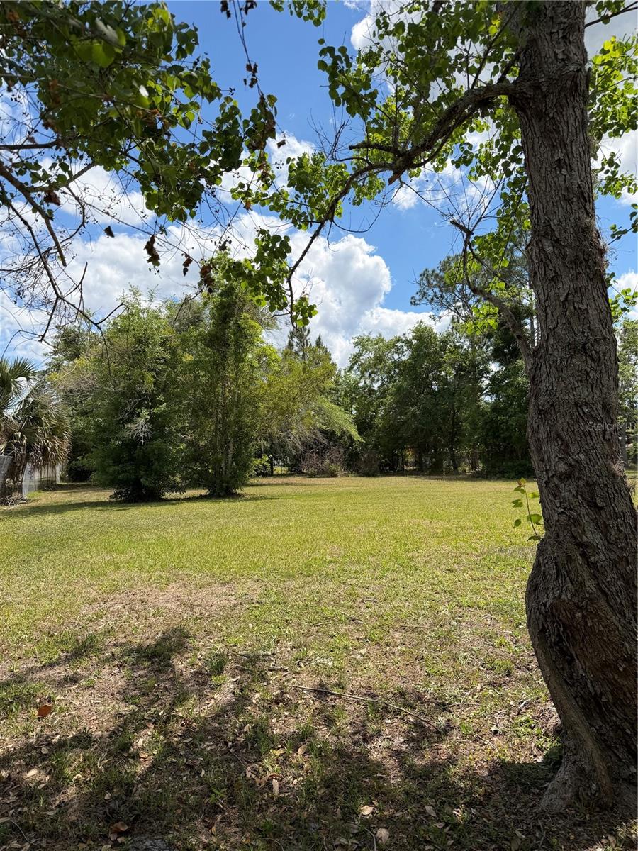 Image 34 of 36 For 24138 Panther Road