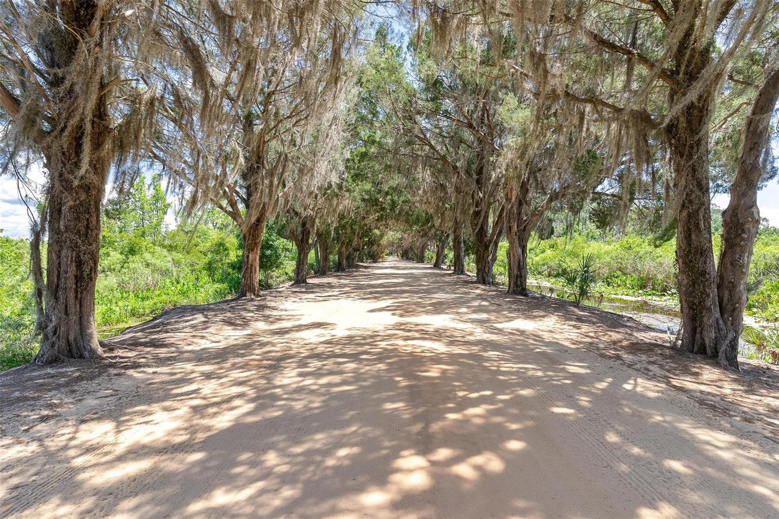 Listing photo id 3 for 7373 Circle Drive