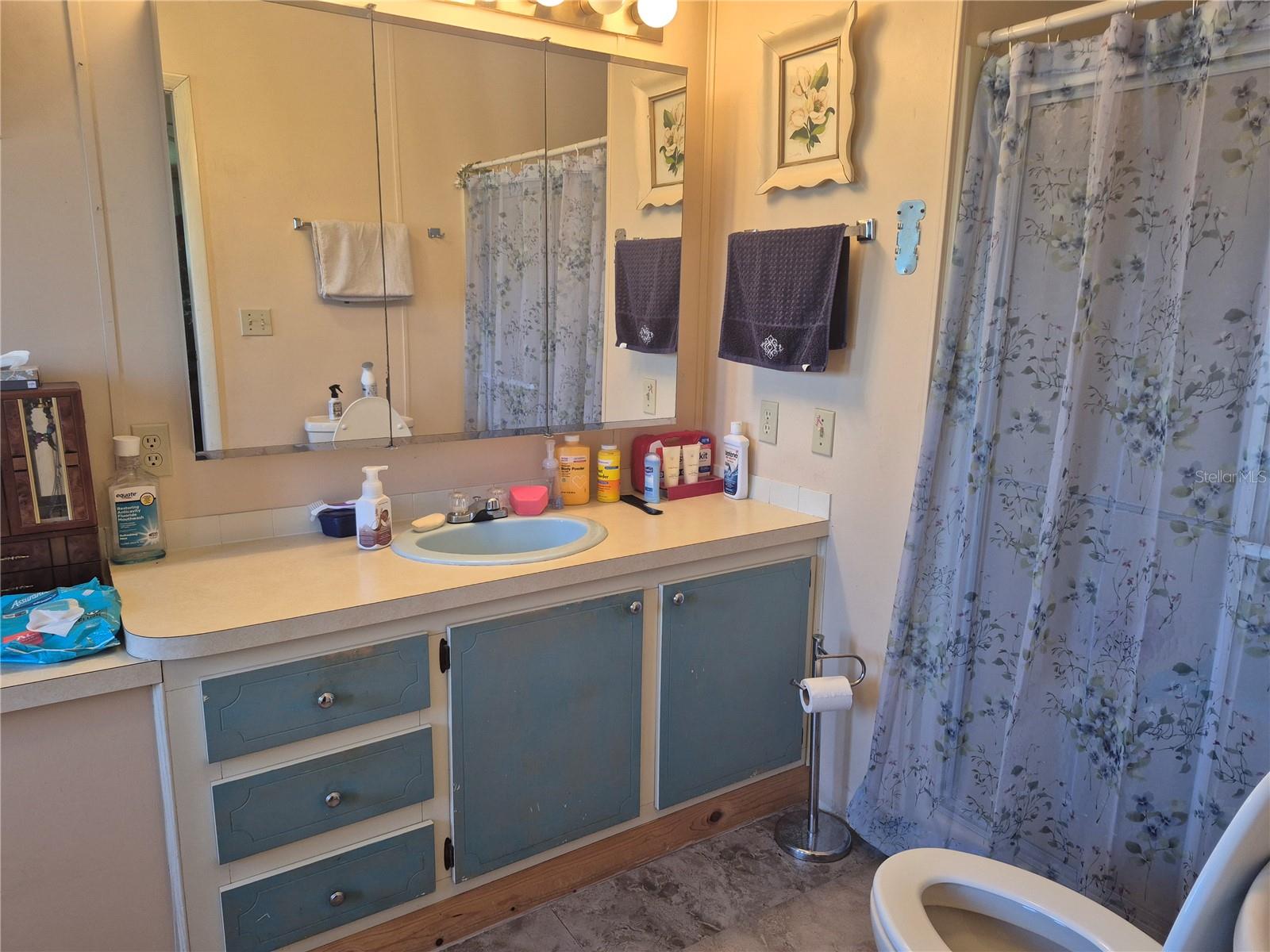 Image 5 of 29 For 3021 Myakka River Road