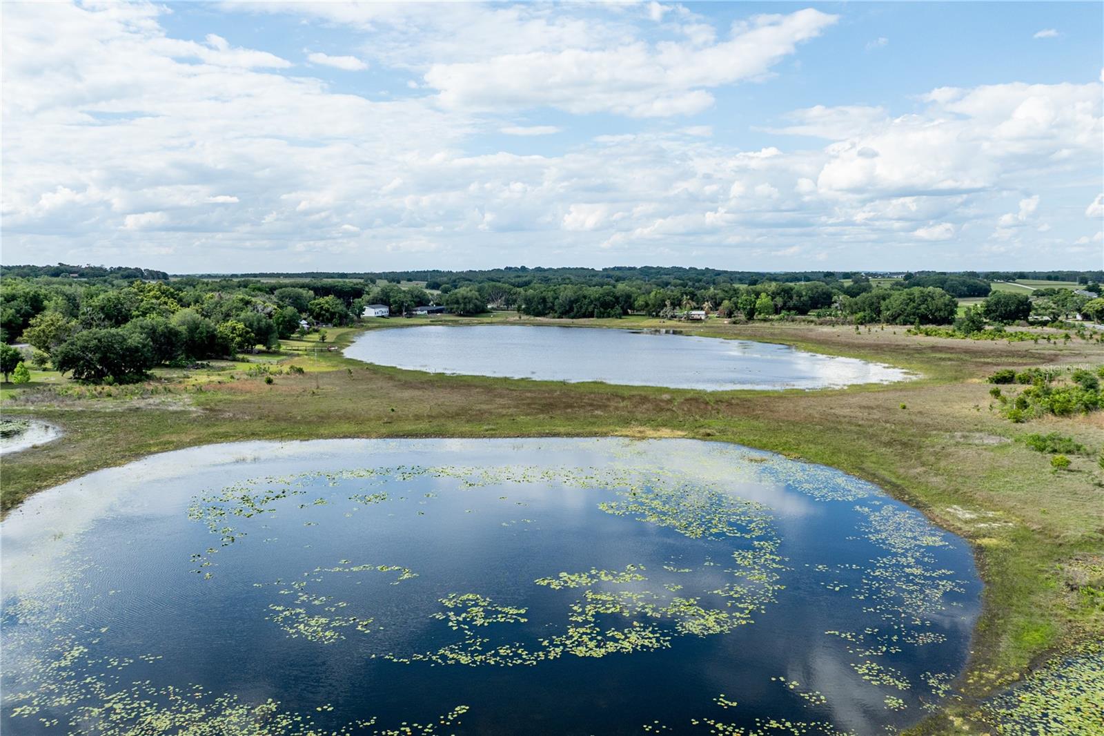 Listing photo id 49 for 25101 Turkey Lake Road