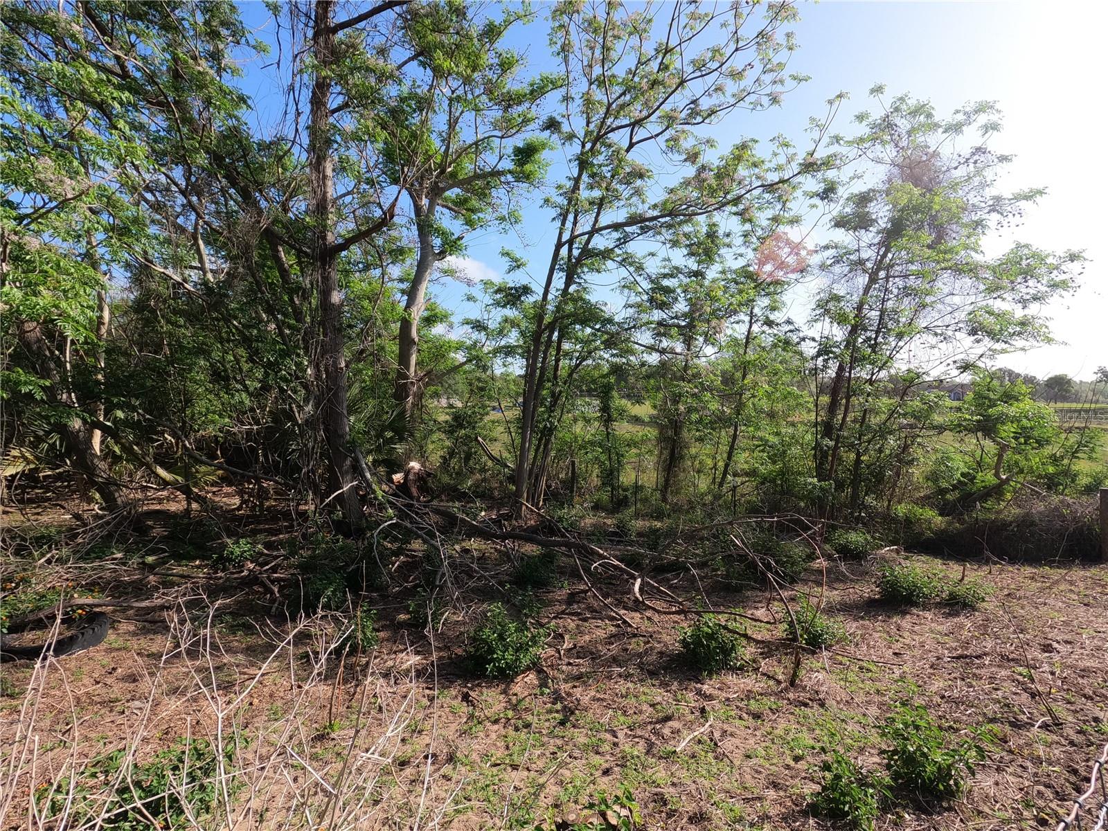 Details for 0 Earth Star Lane, GROVELAND, FL 34736