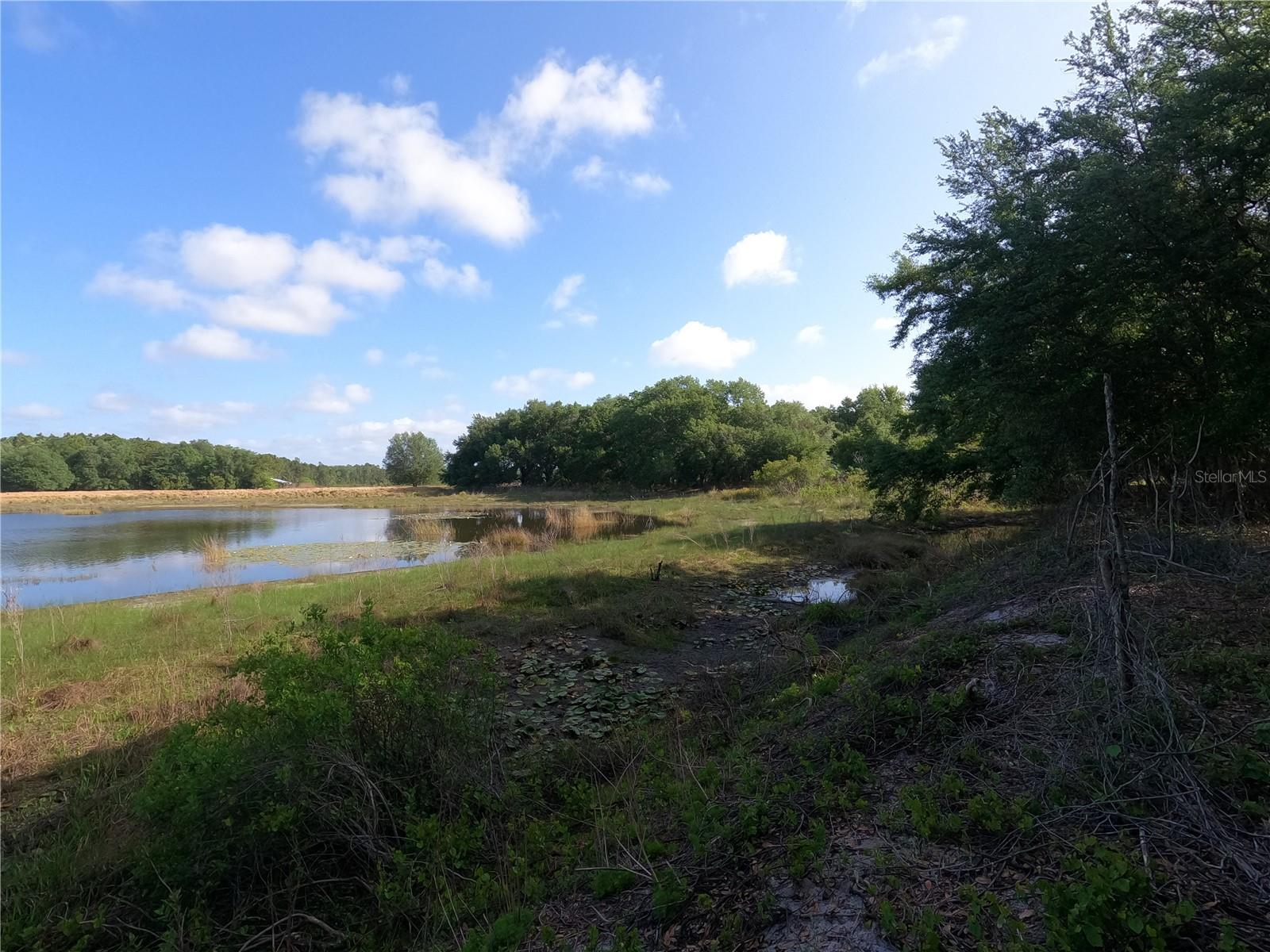 Image 14 of 87 For 0 Earth Star Lane