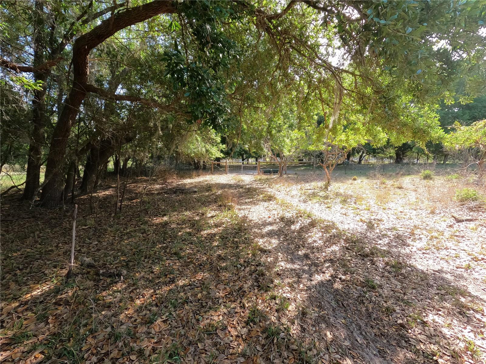 Image 15 of 87 For 0 Earth Star Lane