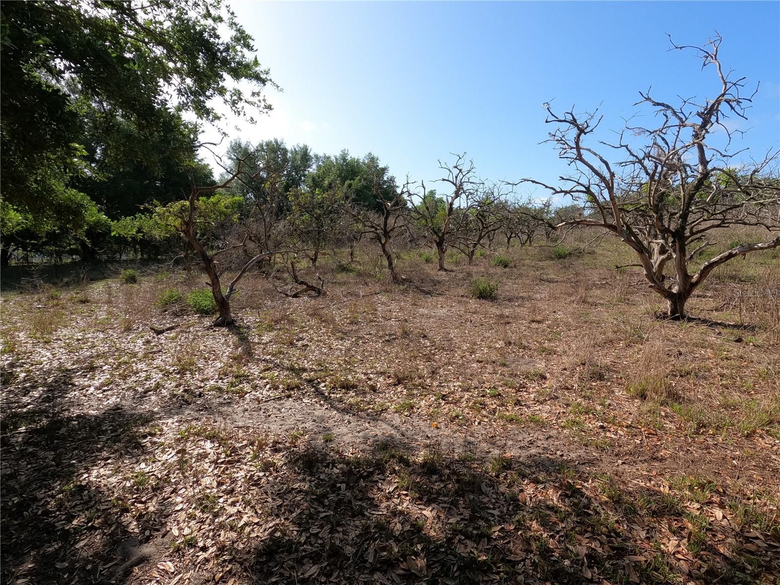 Image 16 of 87 For 0 Earth Star Lane