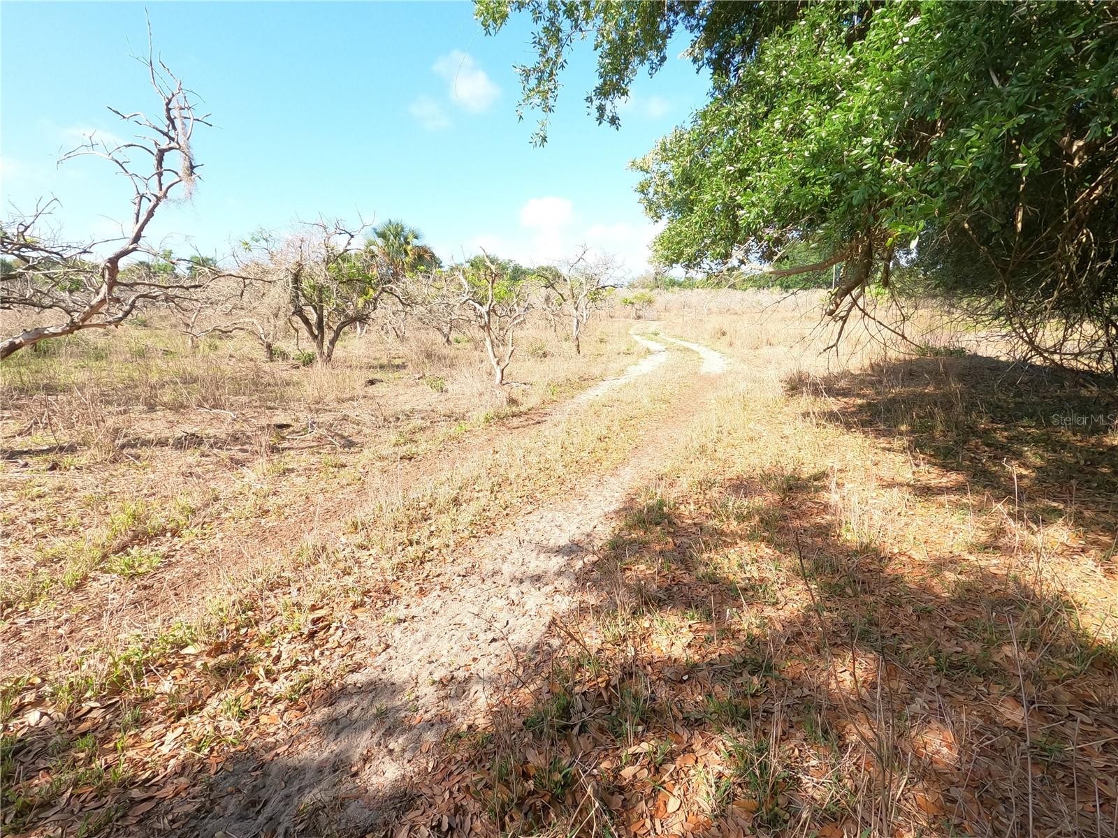 Image 17 of 87 For 0 Earth Star Lane