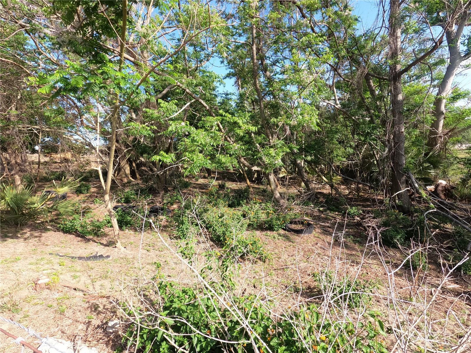 Image 2 of 87 For 0 Earth Star Lane