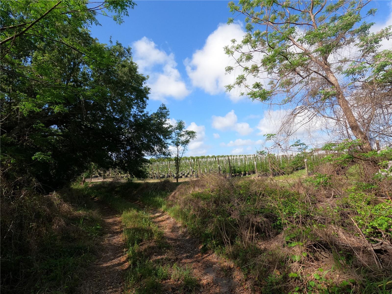 Image 23 of 87 For 0 Earth Star Lane