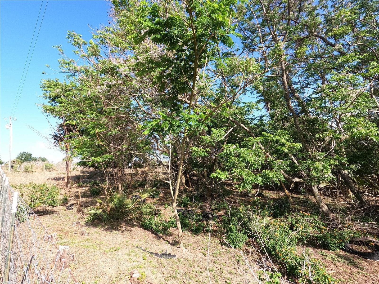 Image 3 of 87 For 0 Earth Star Lane