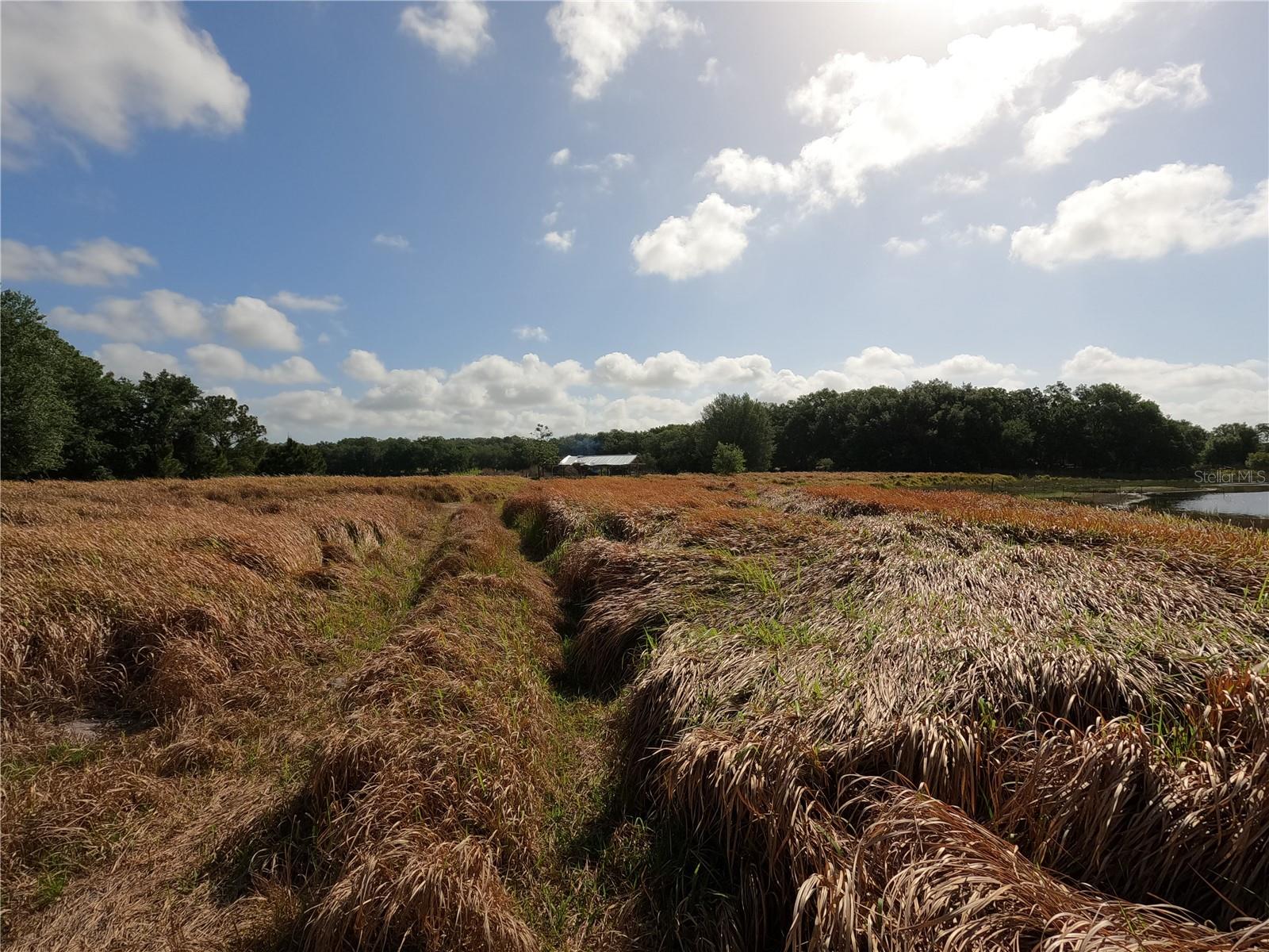 Image 31 of 87 For 0 Earth Star Lane