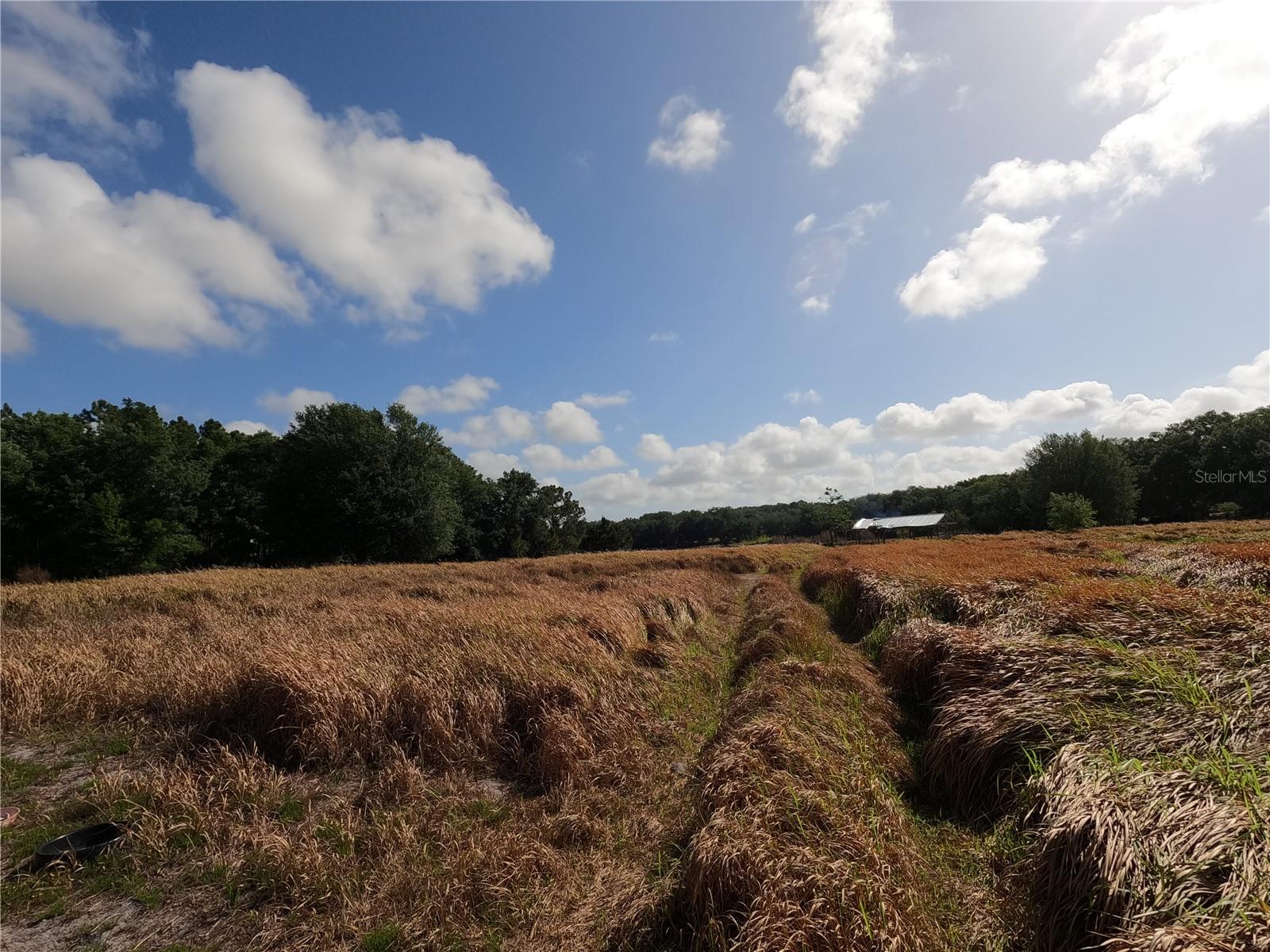 Image 33 of 87 For 0 Earth Star Lane