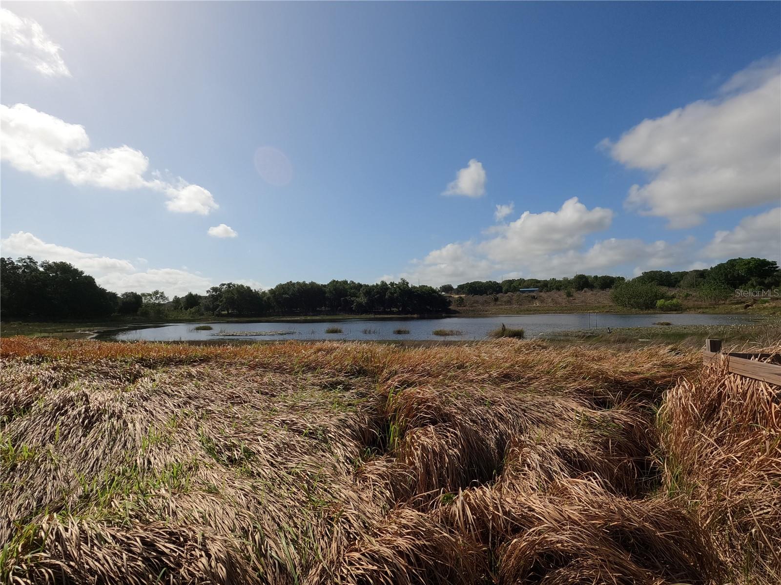 Image 34 of 87 For 0 Earth Star Lane