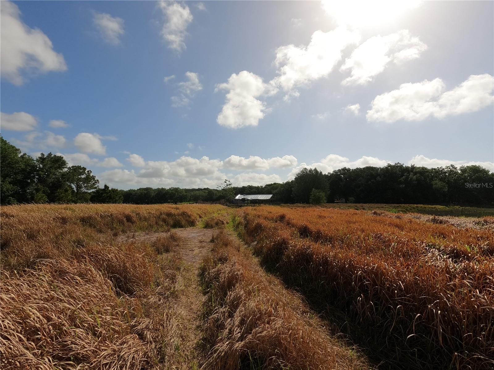 Image 35 of 87 For 0 Earth Star Lane