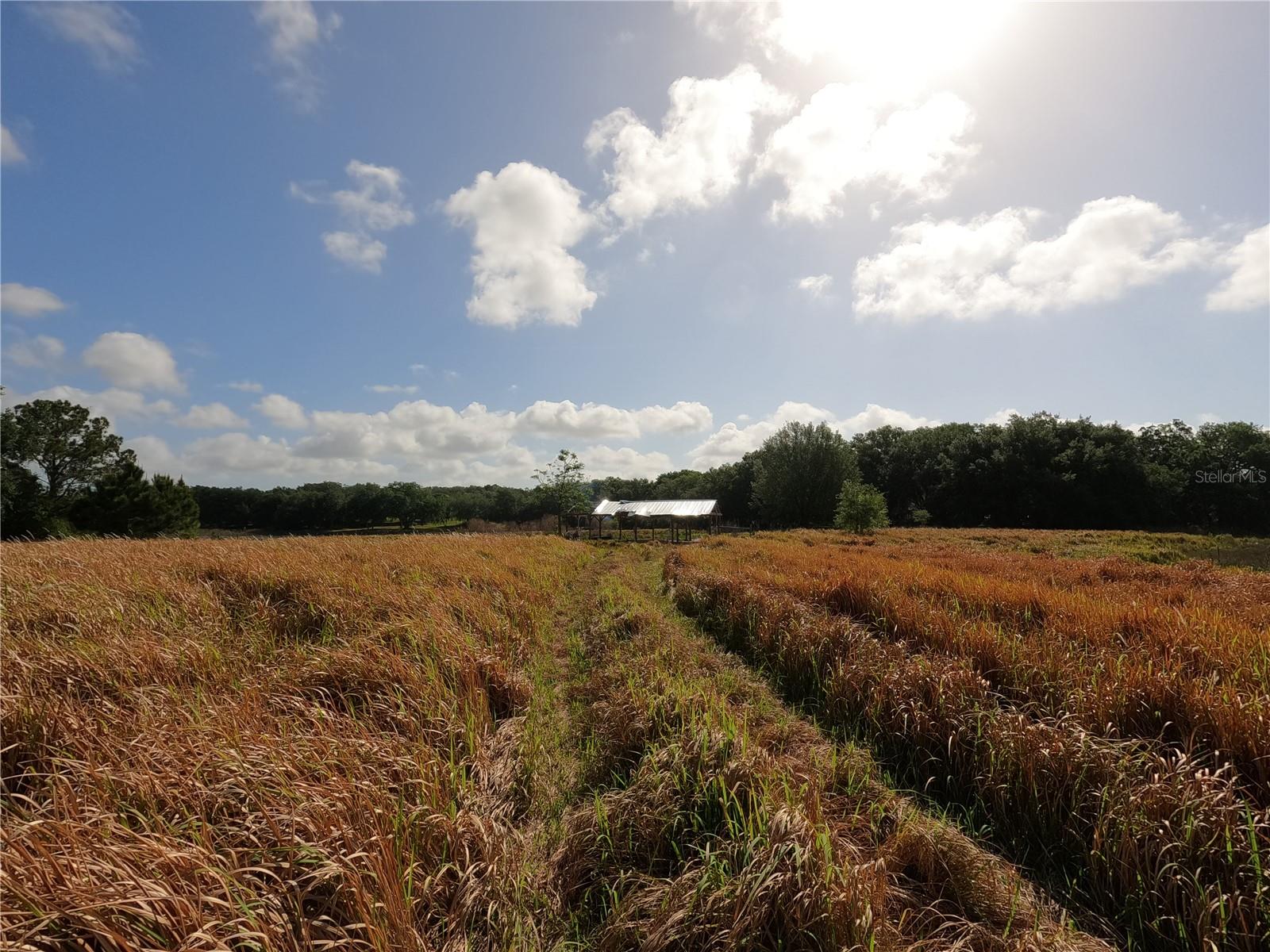 Image 36 of 87 For 0 Earth Star Lane