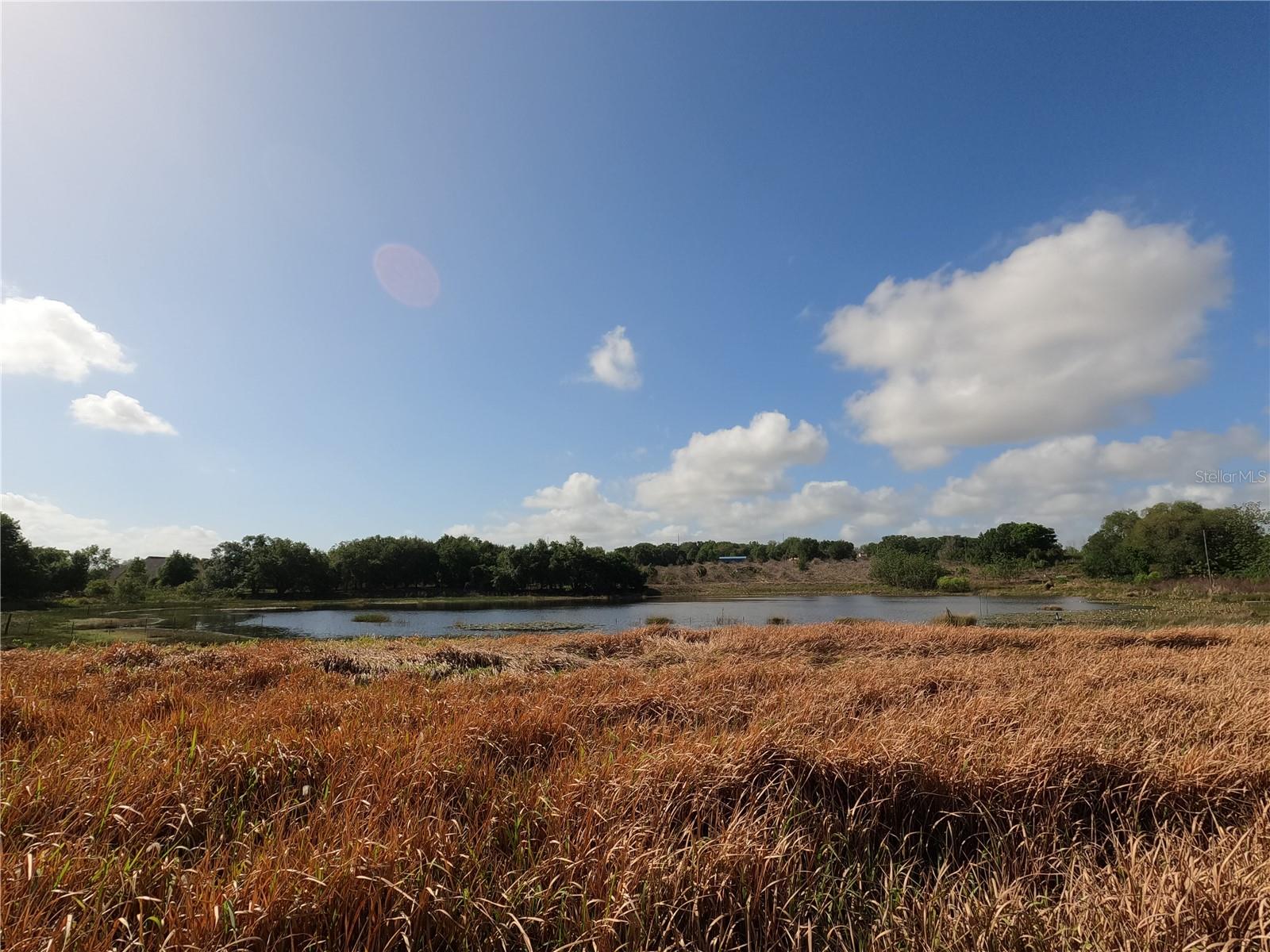 Image 37 of 87 For 0 Earth Star Lane