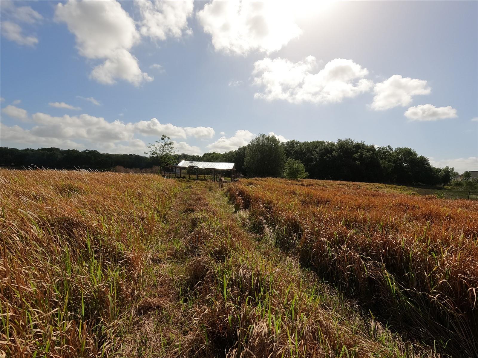 Image 38 of 87 For 0 Earth Star Lane