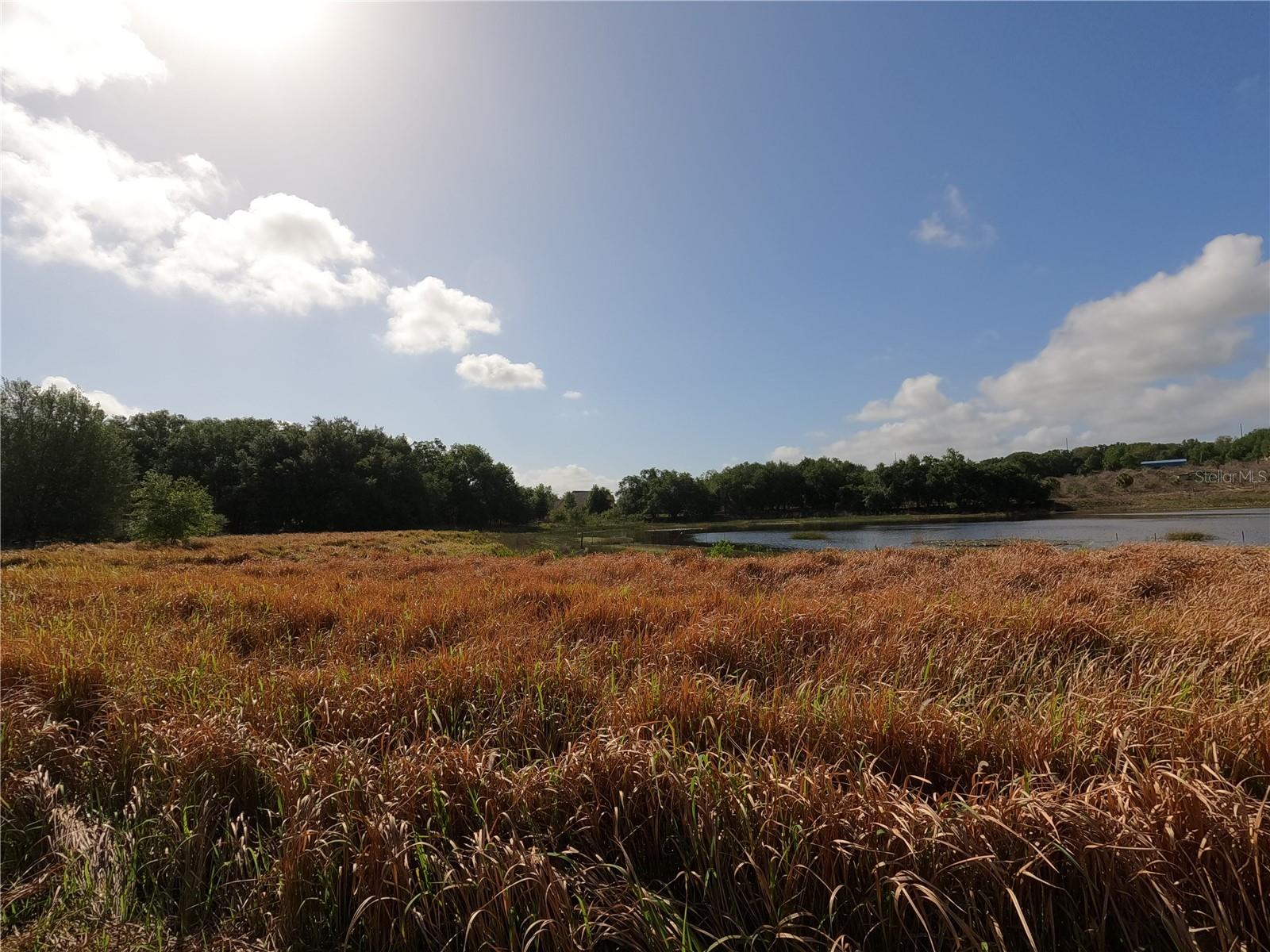 Image 39 of 87 For 0 Earth Star Lane