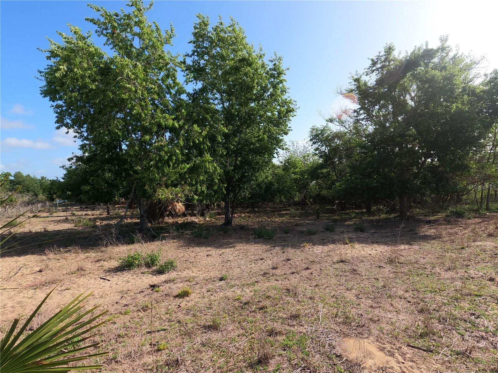 Image 4 of 87 For 0 Earth Star Lane