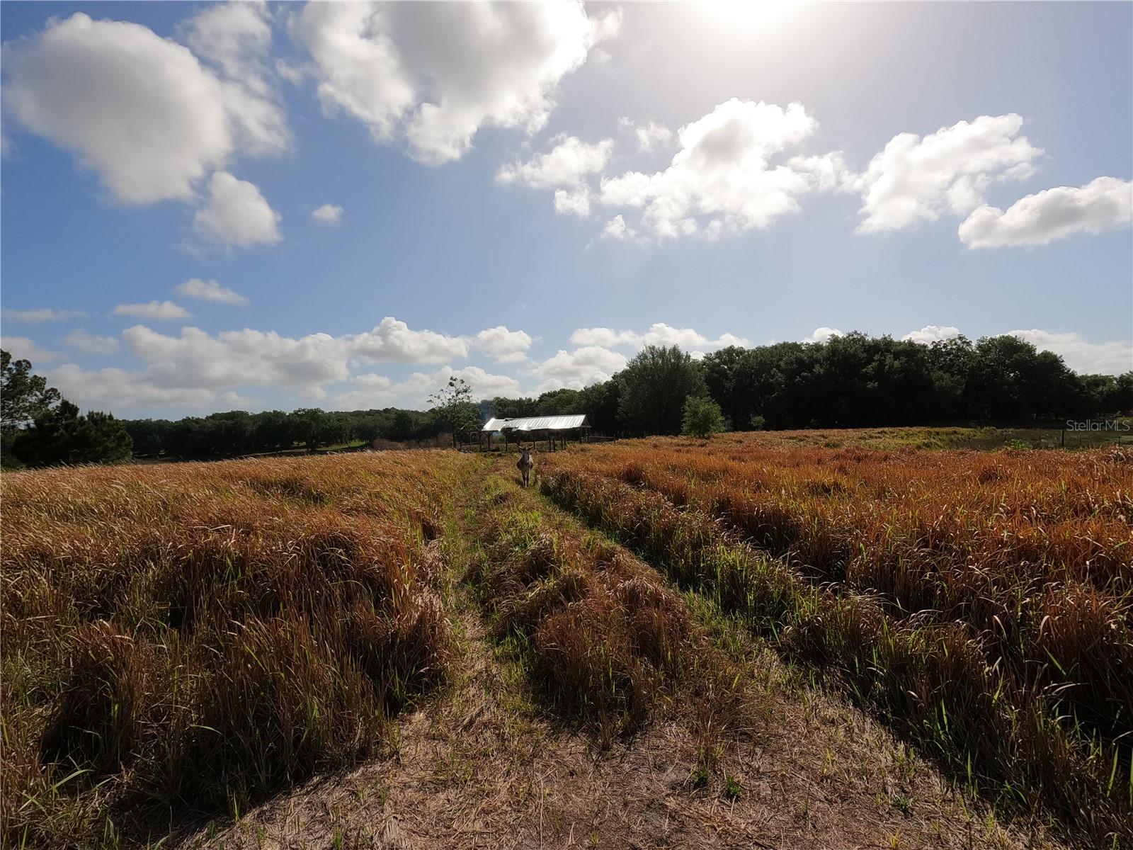 Image 40 of 87 For 0 Earth Star Lane