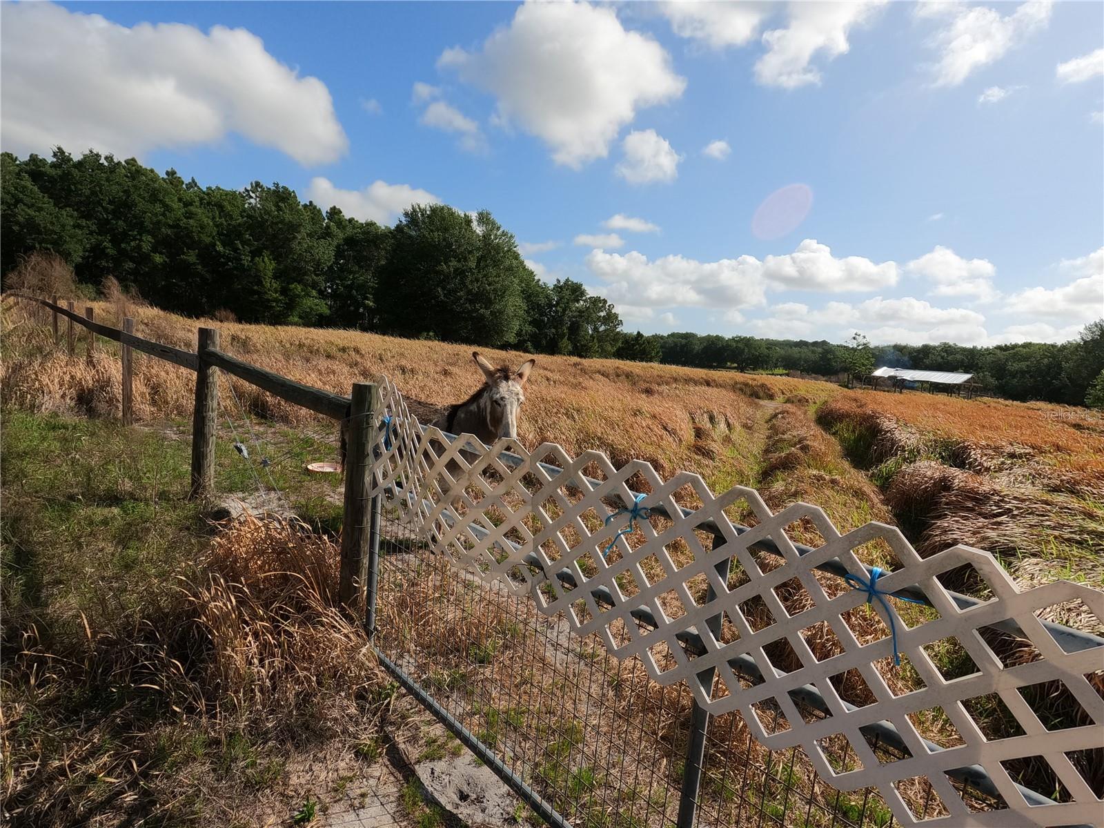Image 42 of 87 For 0 Earth Star Lane
