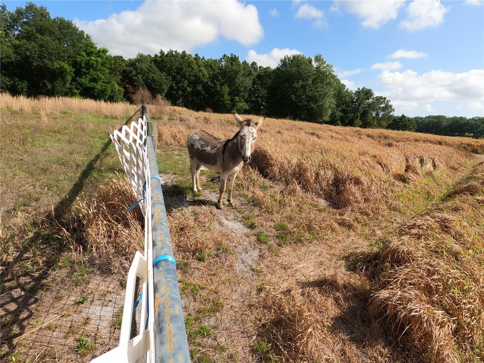Image 43 of 87 For 0 Earth Star Lane