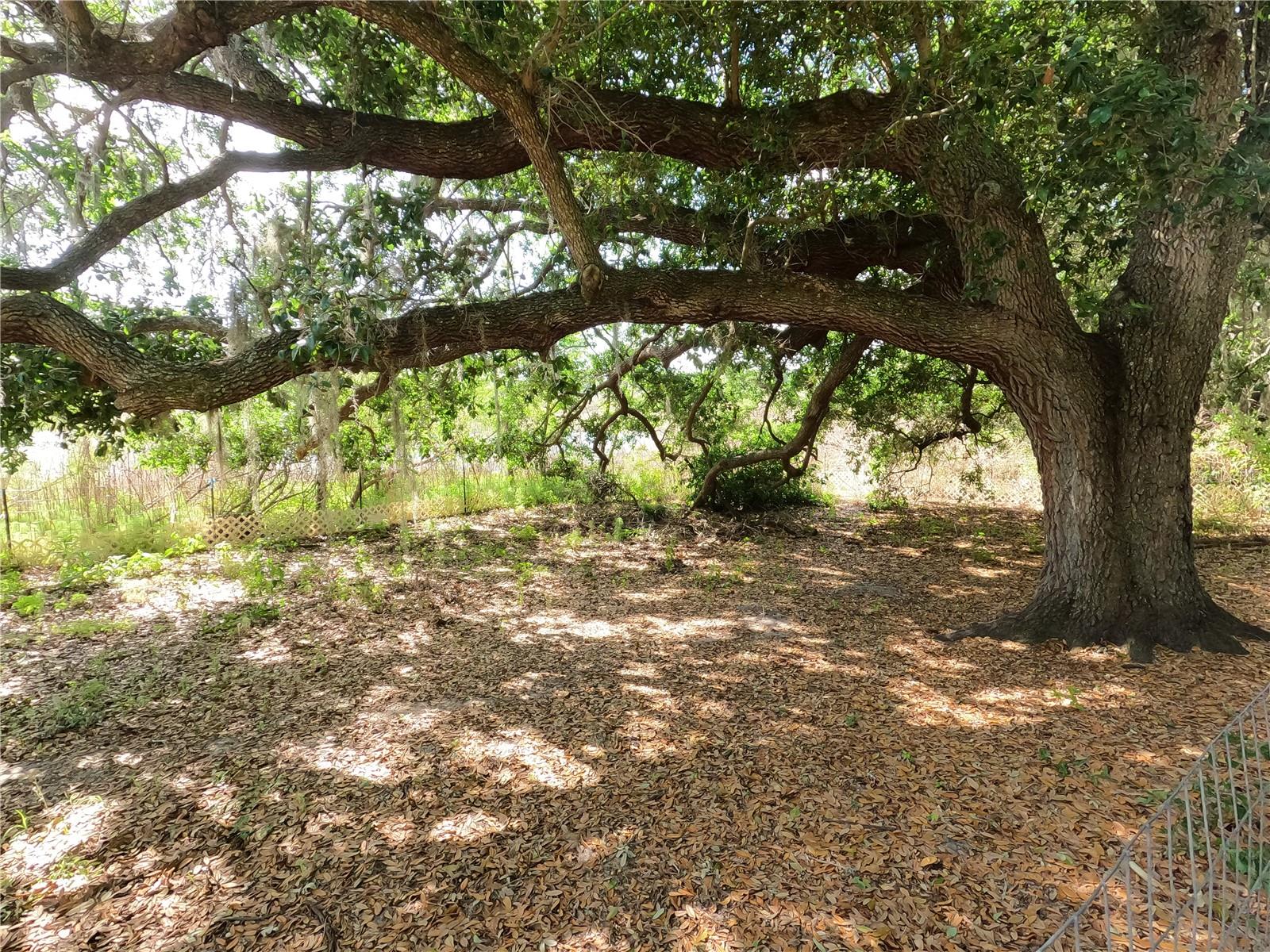 Image 45 of 87 For 0 Earth Star Lane