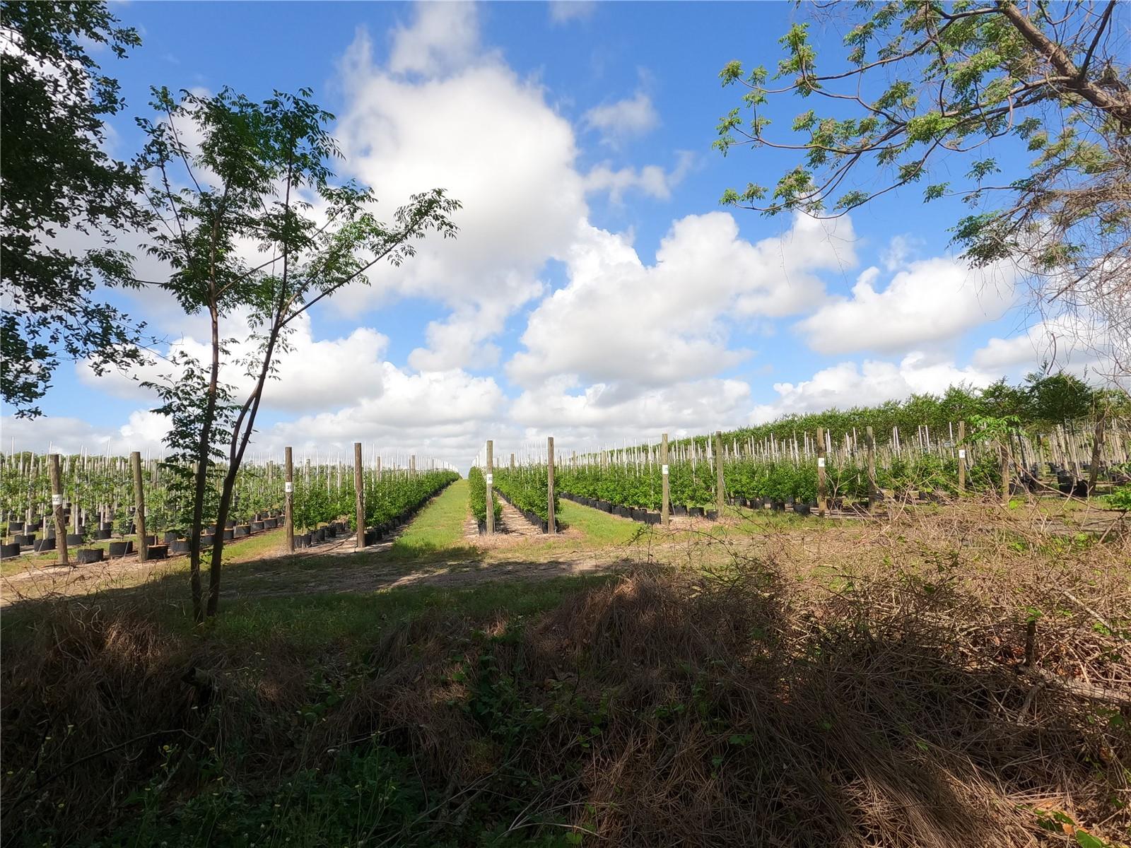 Image 46 of 87 For 0 Earth Star Lane