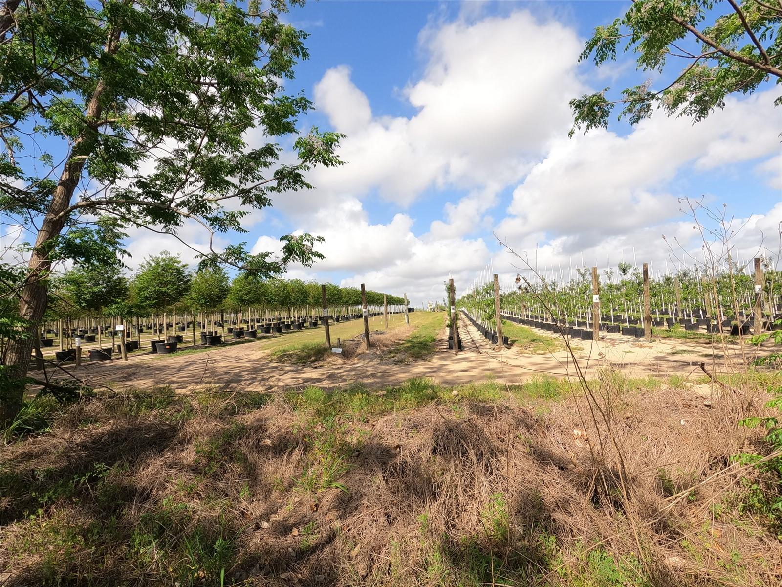 Image 47 of 87 For 0 Earth Star Lane