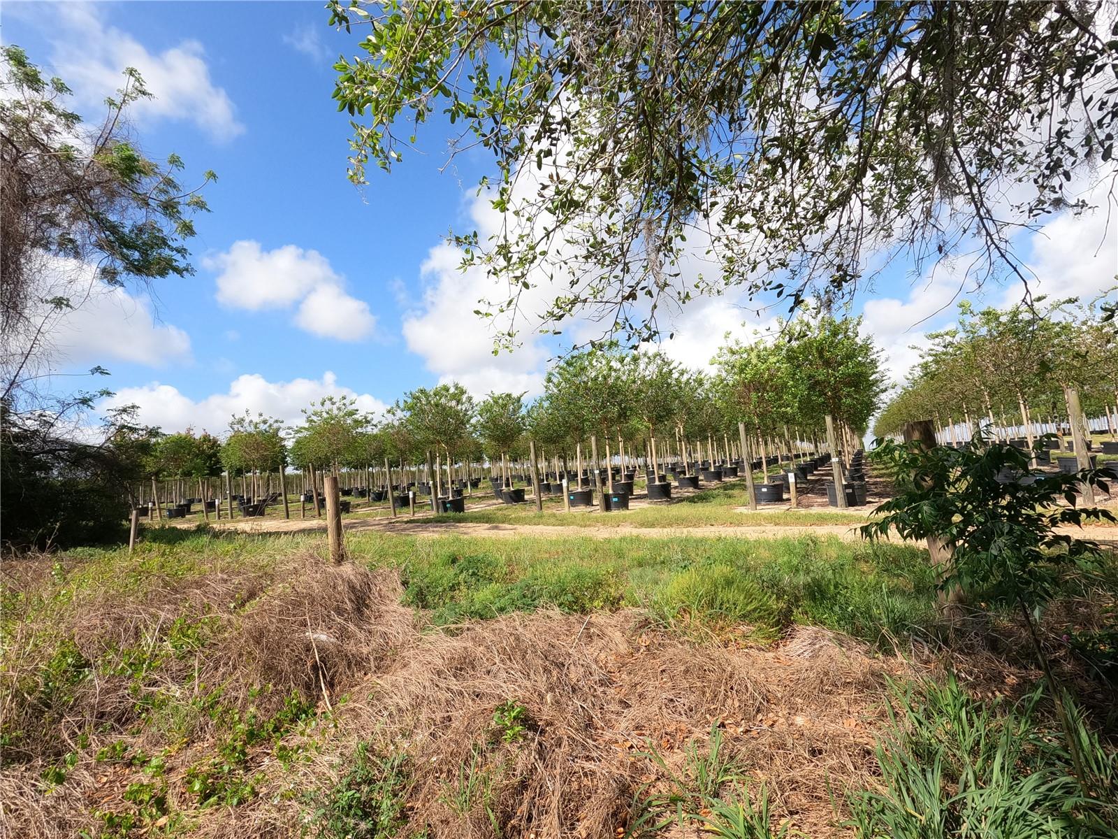 Image 48 of 87 For 0 Earth Star Lane