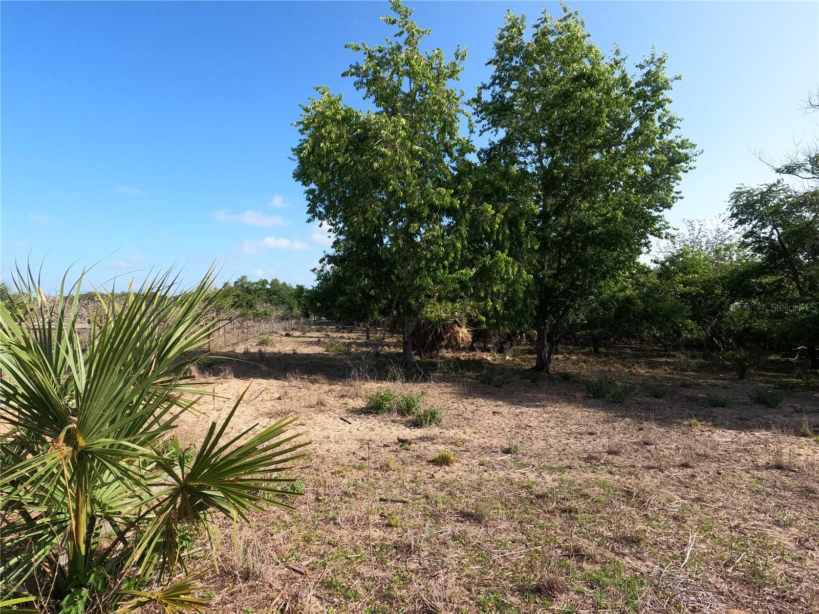 Image 5 of 87 For 0 Earth Star Lane