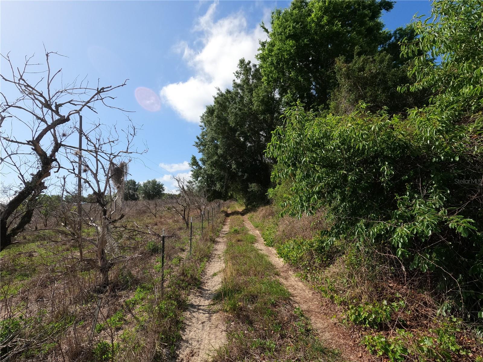 Image 50 of 87 For 0 Earth Star Lane