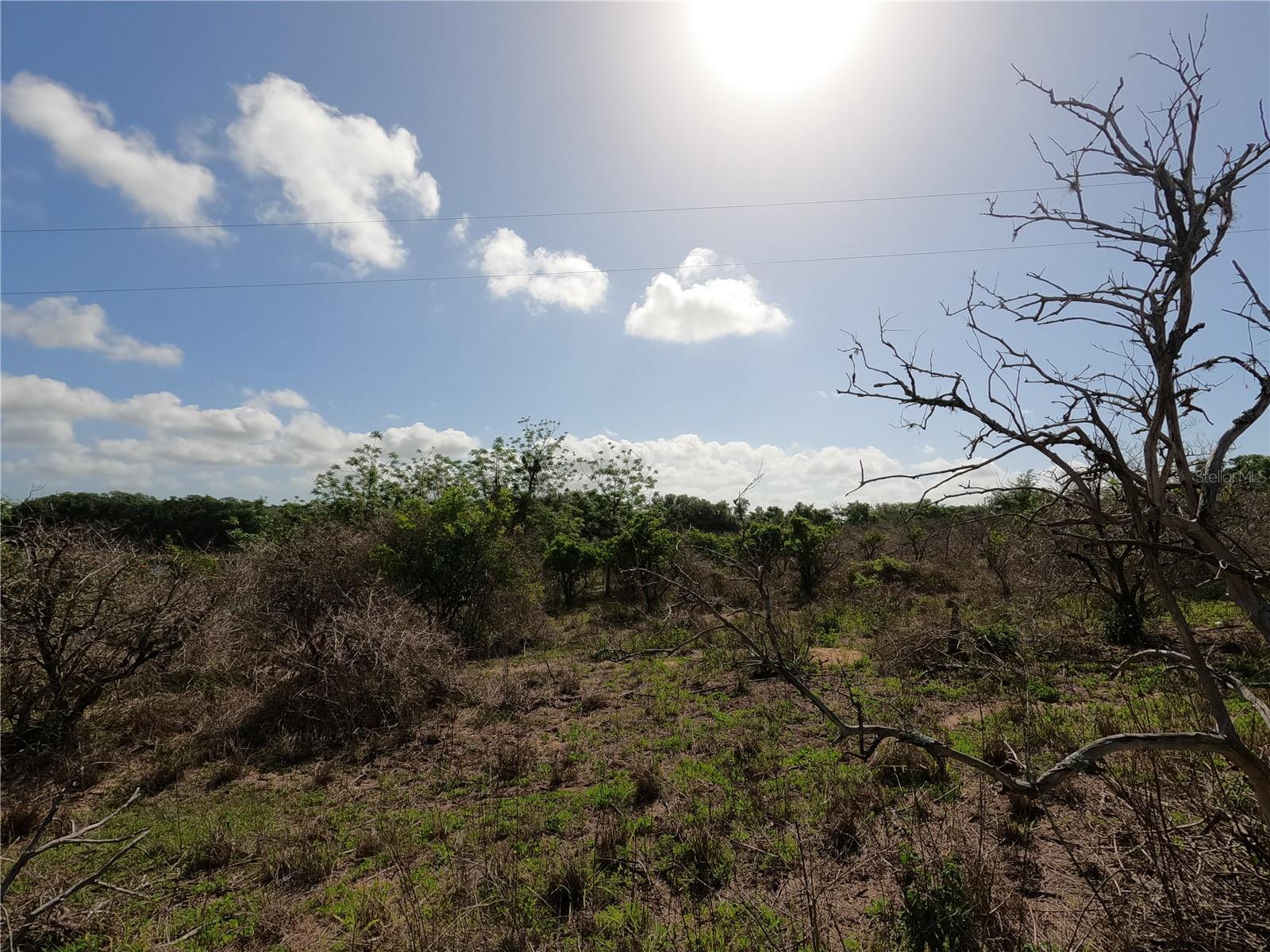 Image 51 of 87 For 0 Earth Star Lane