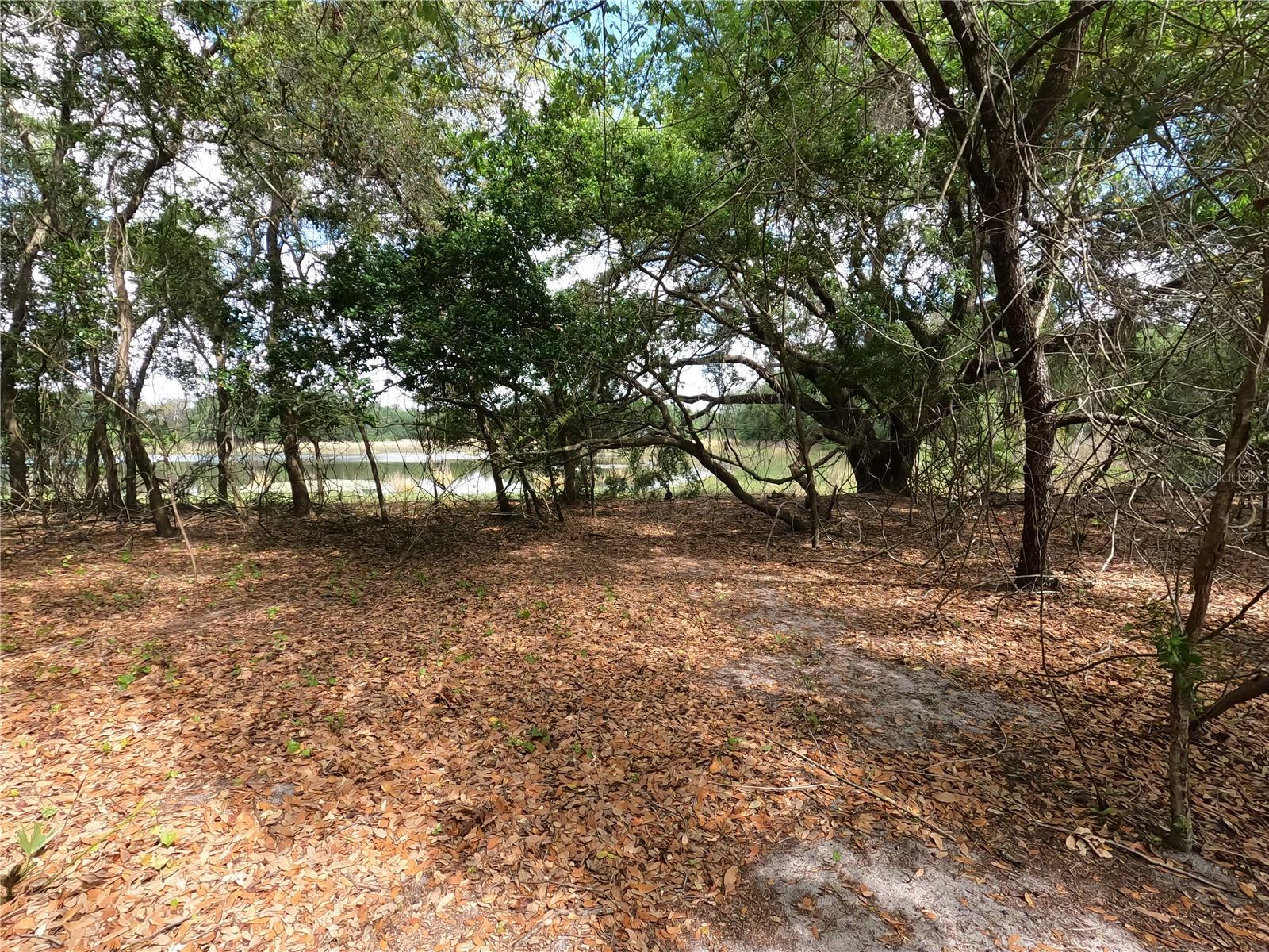 Image 53 of 87 For 0 Earth Star Lane