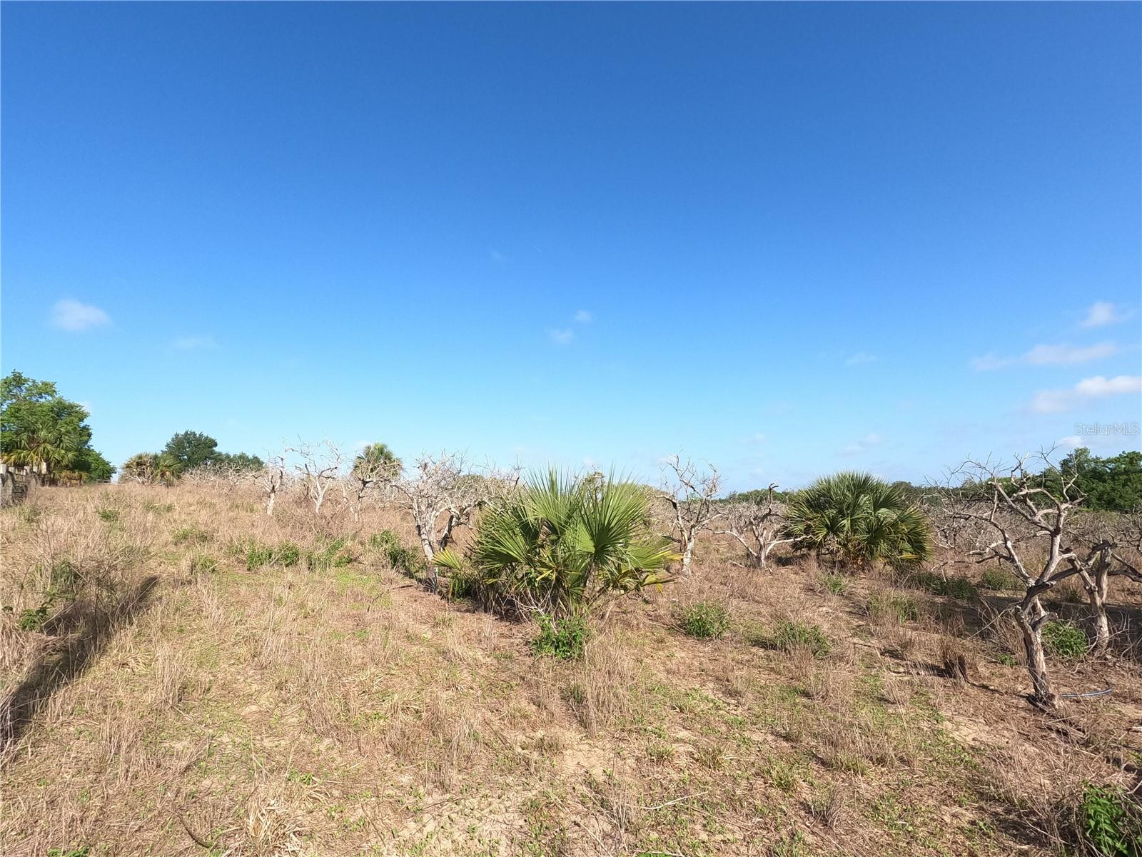 Image 6 of 87 For 0 Earth Star Lane