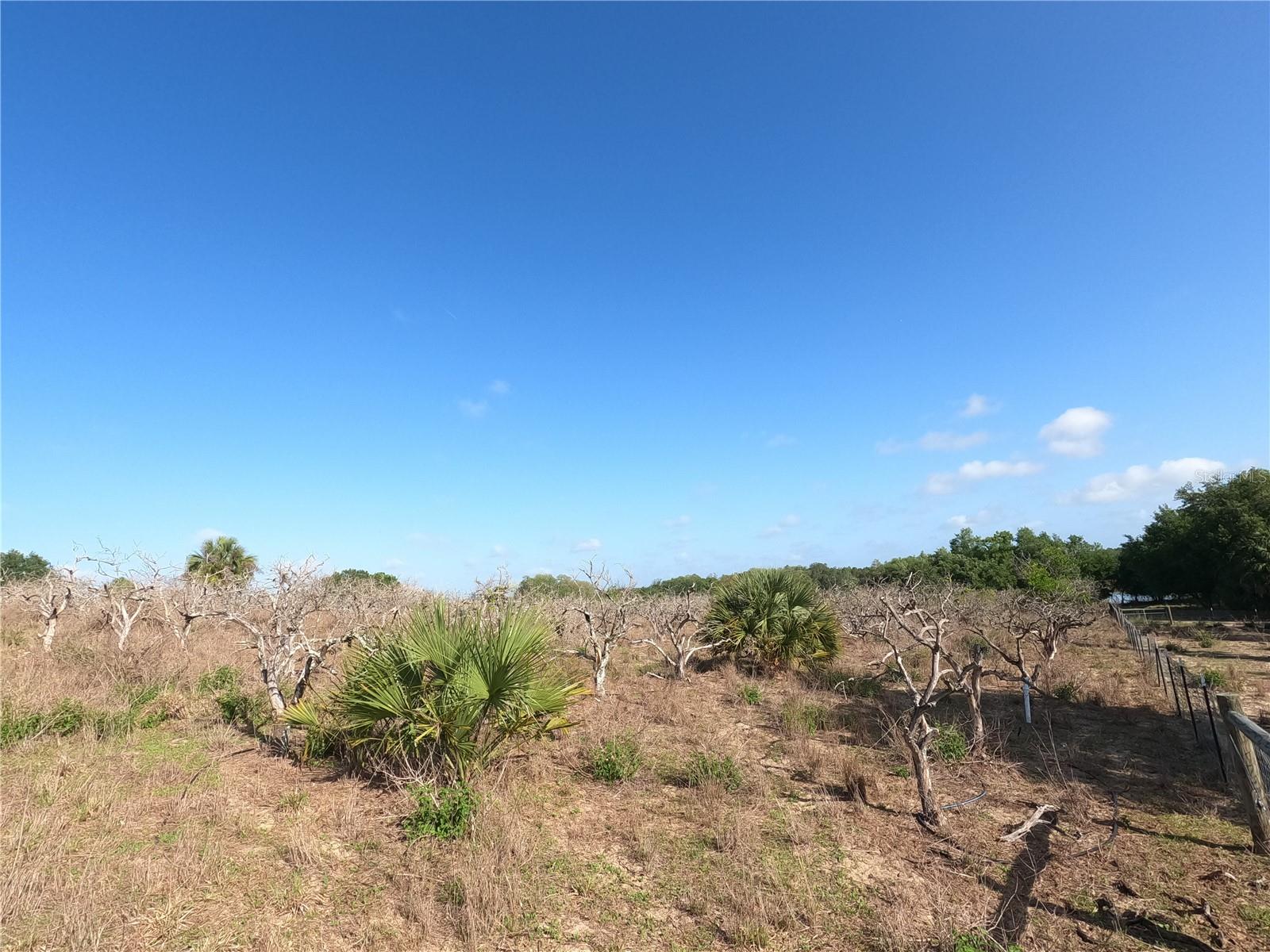 Image 7 of 87 For 0 Earth Star Lane