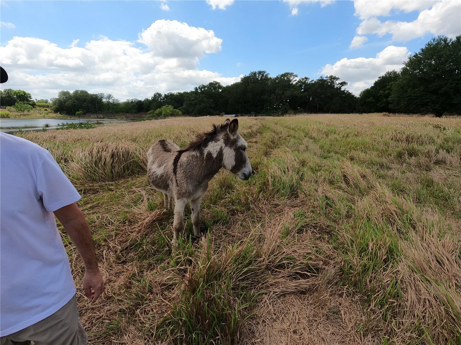 Image 70 of 87 For 0 Earth Star Lane
