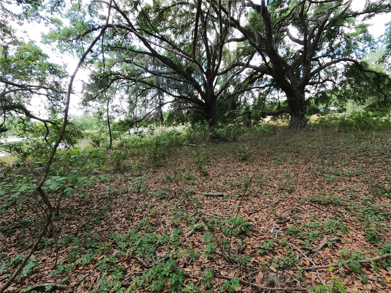 Image 76 of 87 For 0 Earth Star Lane