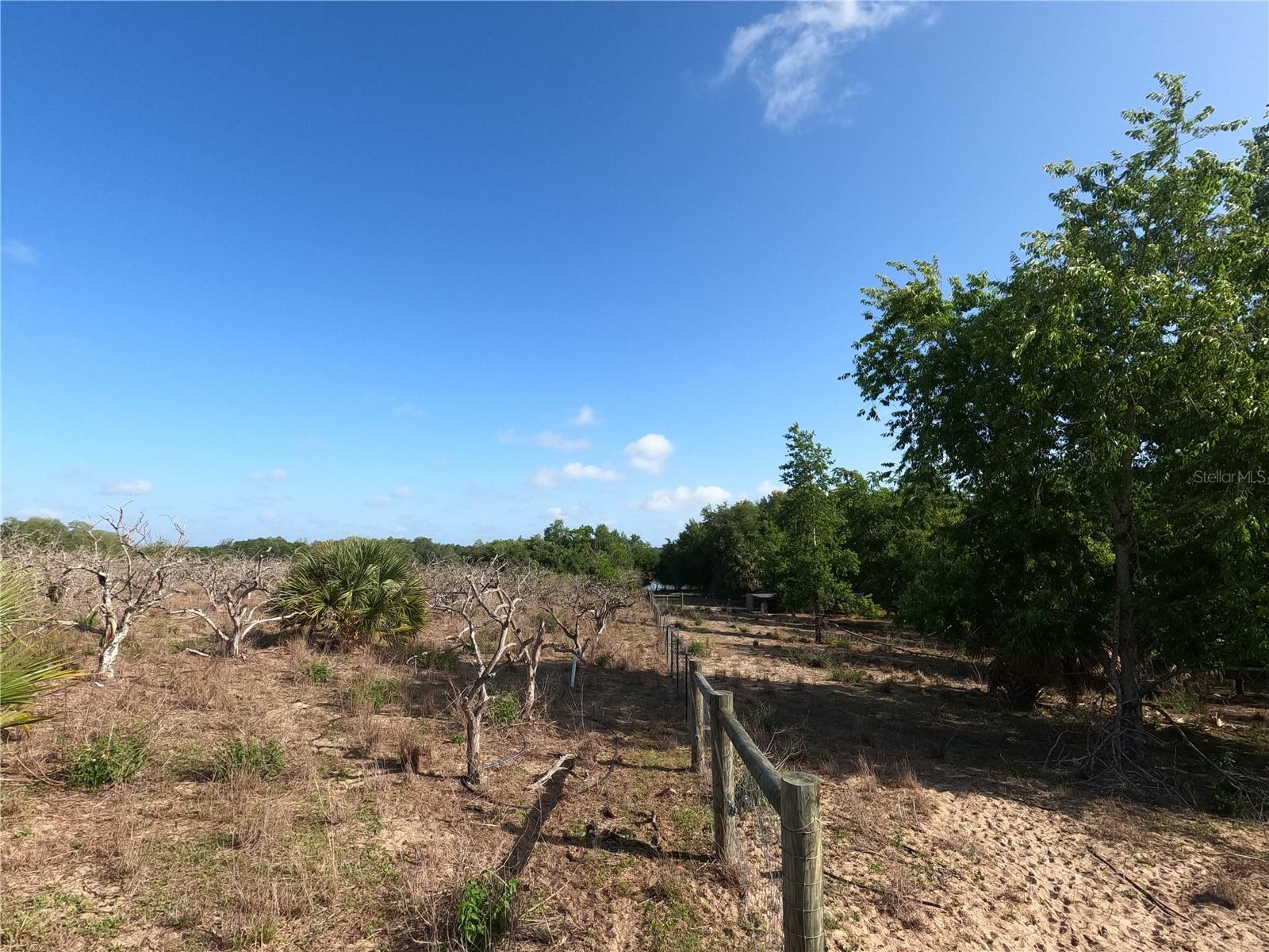 Image 8 of 87 For 0 Earth Star Lane