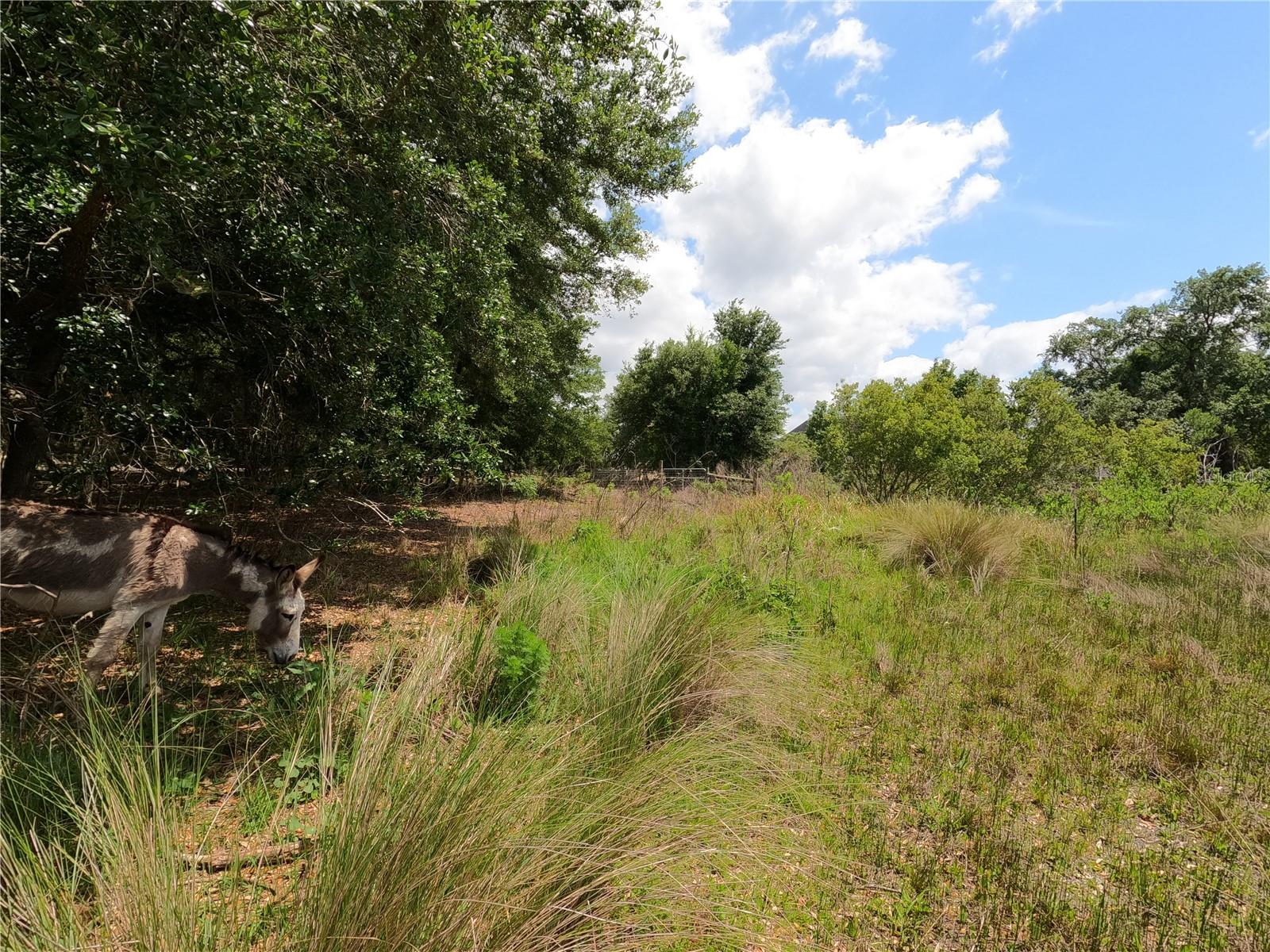 Image 81 of 87 For 0 Earth Star Lane