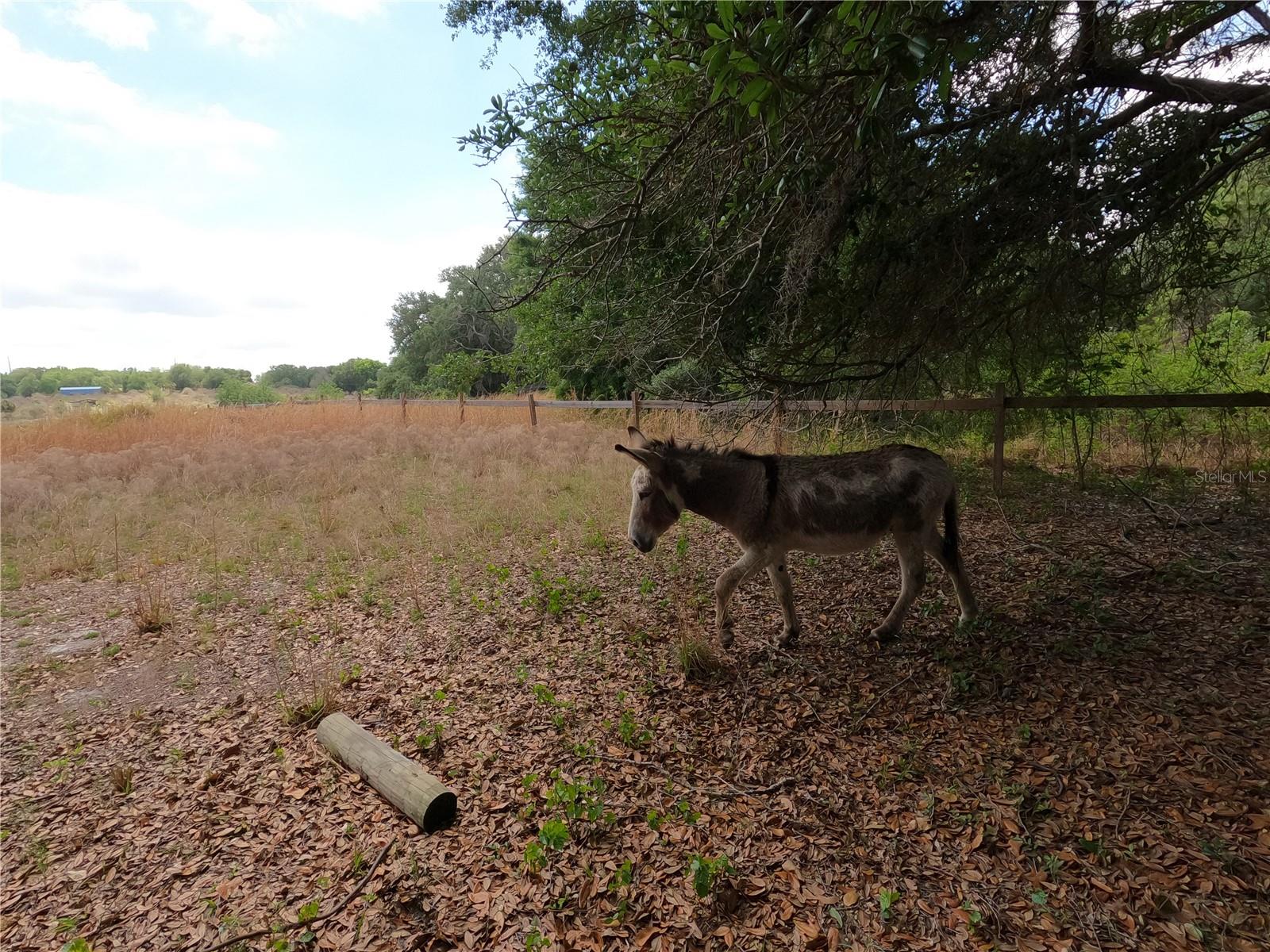 Image 84 of 87 For 0 Earth Star Lane