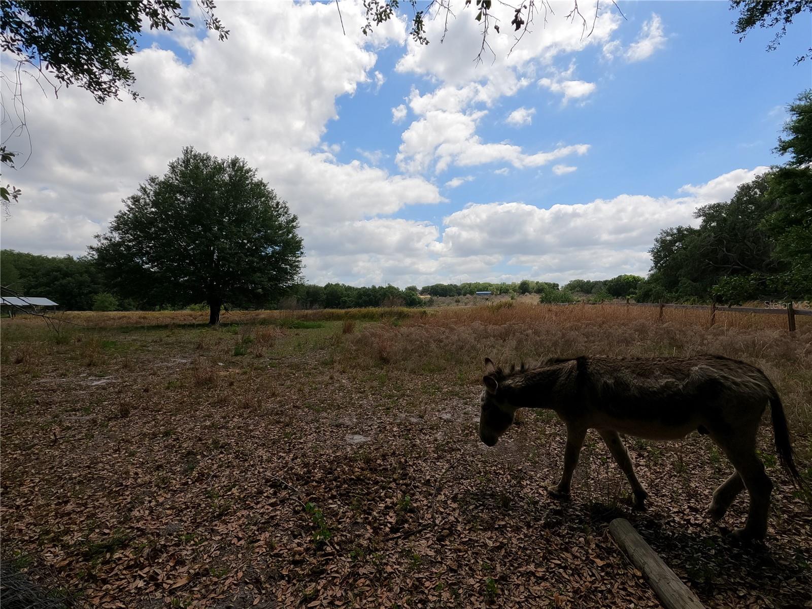 Image 85 of 87 For 0 Earth Star Lane