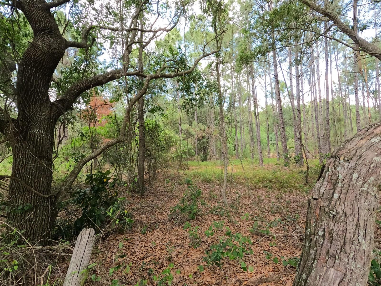 Image 86 of 87 For 0 Earth Star Lane