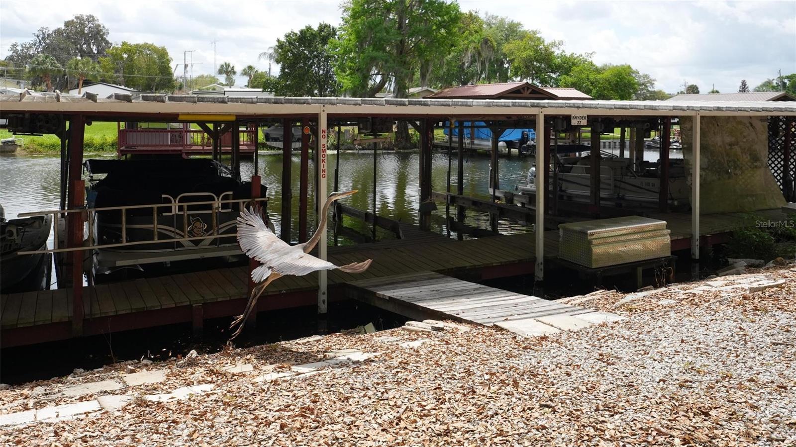 Image 81 of 81 For 31609 Terrace Drive
